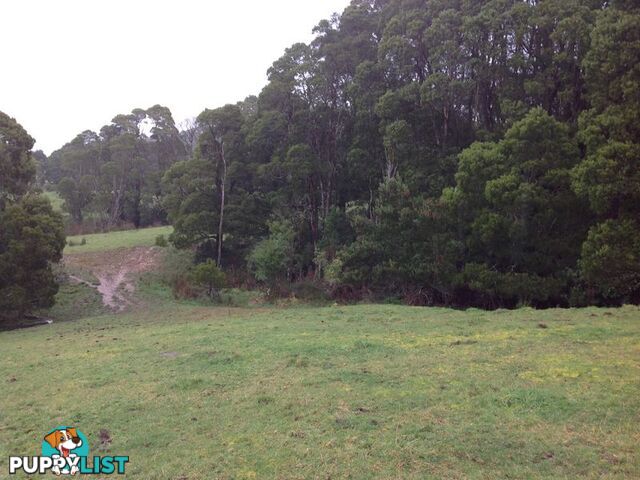 Lot 22 Old Main Road BEECH FOREST VIC 3237