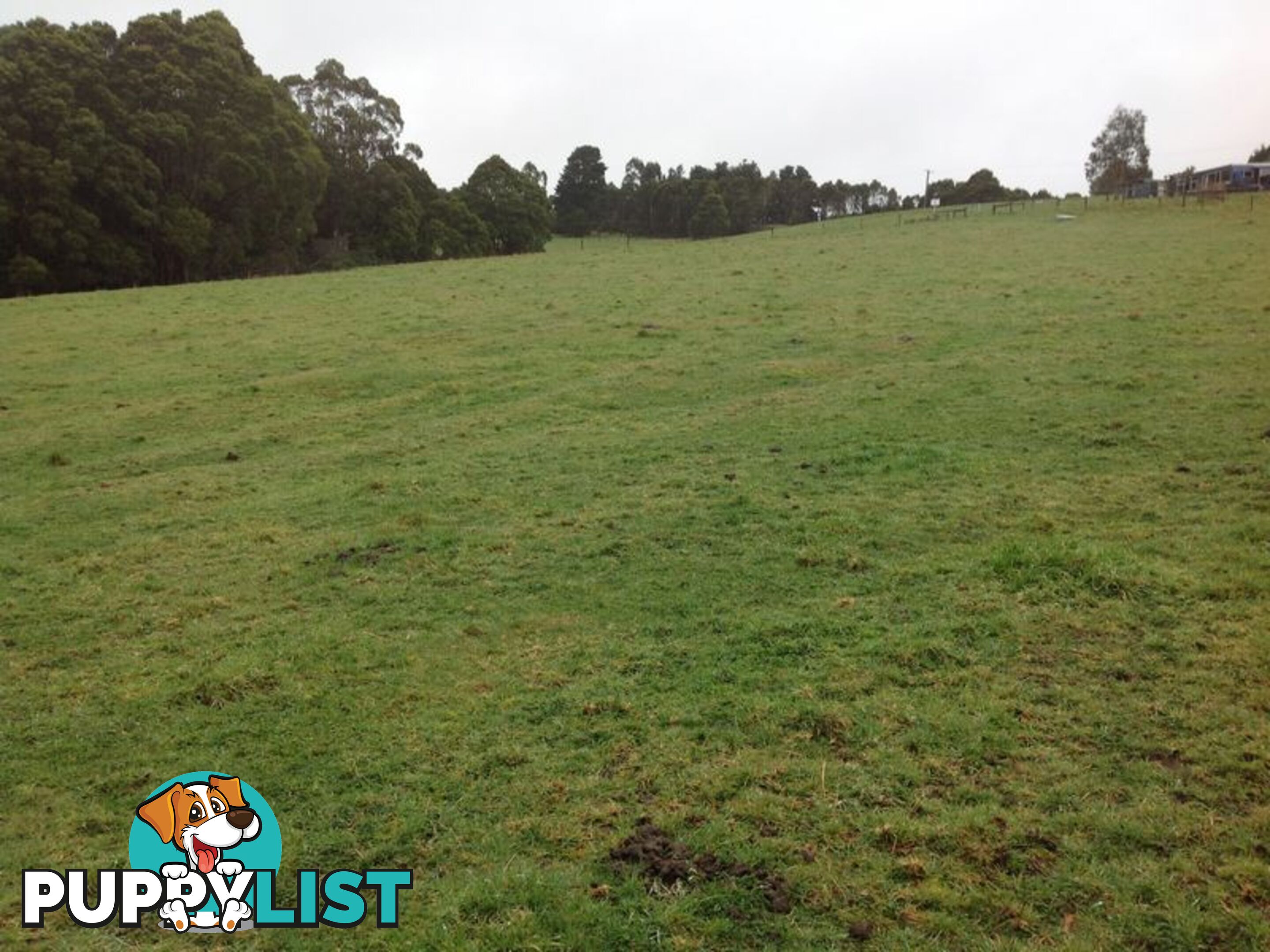 Lot 22 Old Main Road BEECH FOREST VIC 3237