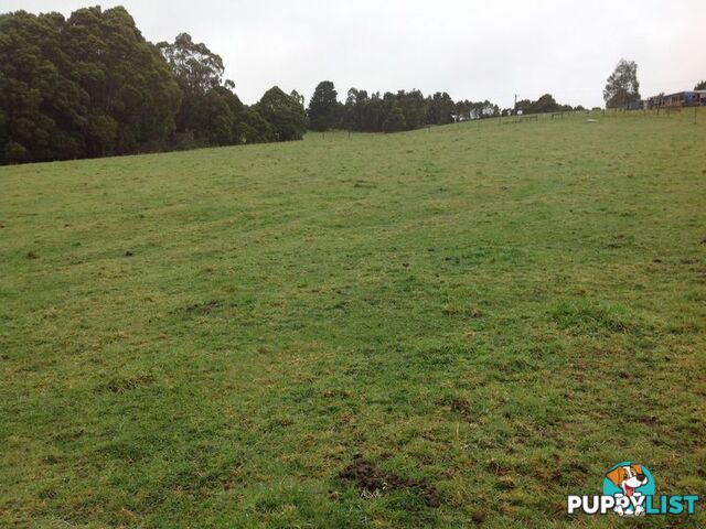 Lot 22 Old Main Road BEECH FOREST VIC 3237