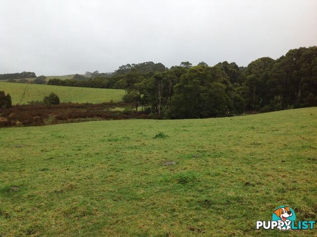 Lot 22 Old Main Road BEECH FOREST VIC 3237