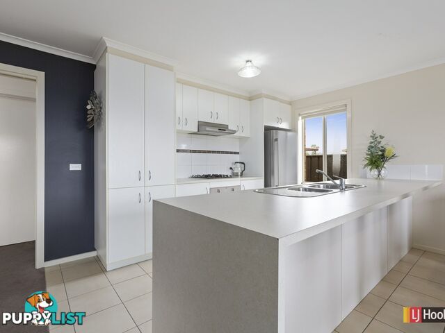 8 Kettle Street COLAC VIC 3250