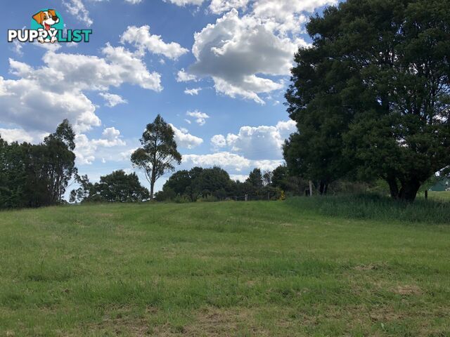 Lot 4, 20 Gardner Street BEECH FOREST VIC 3237