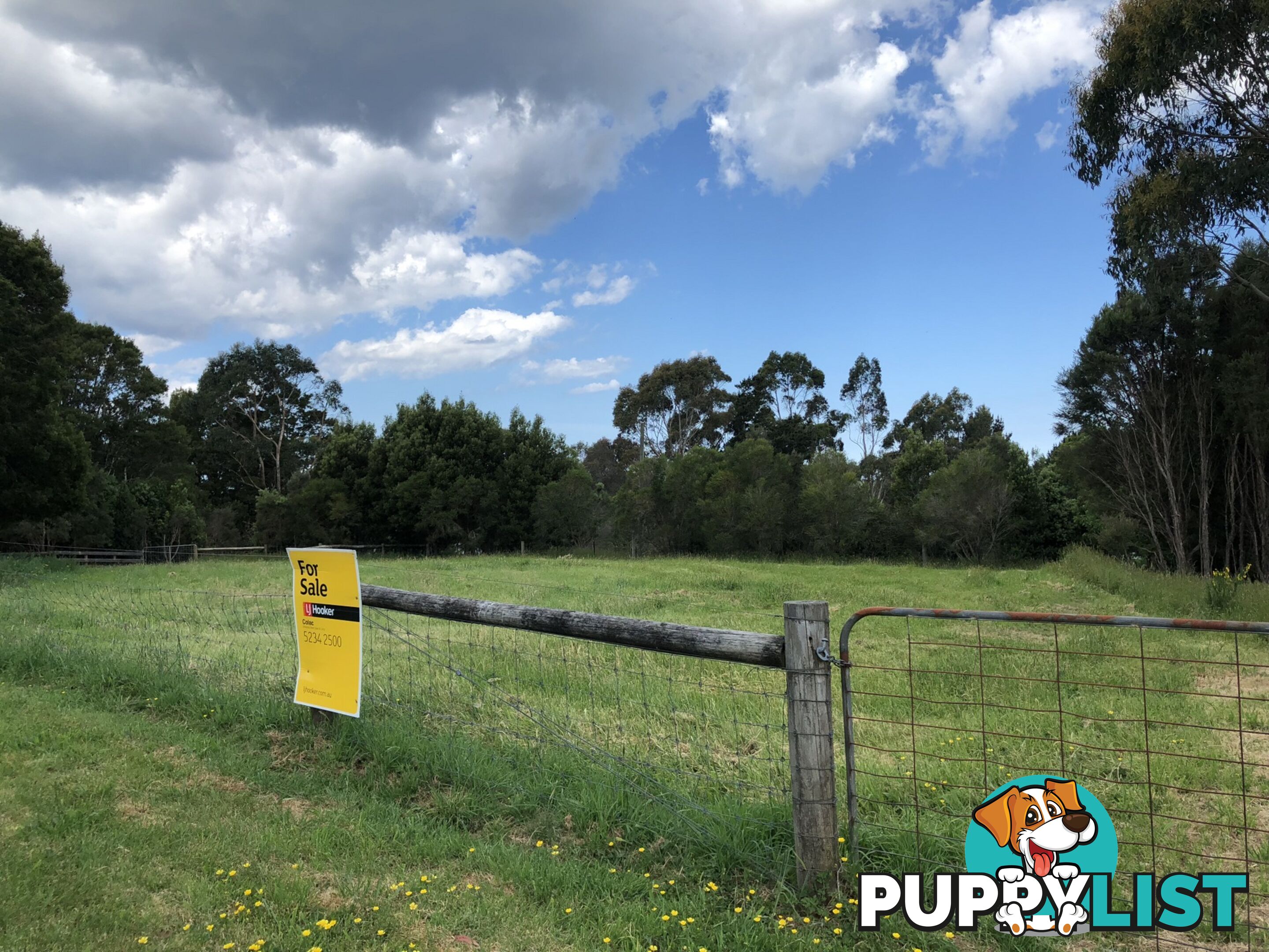 Lot 4, 20 Gardner Street BEECH FOREST VIC 3237