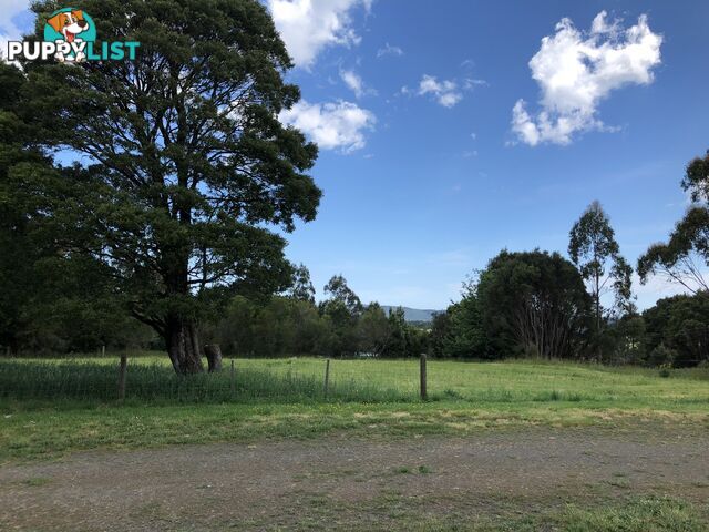 Lot 4, 20 Gardner Street BEECH FOREST VIC 3237