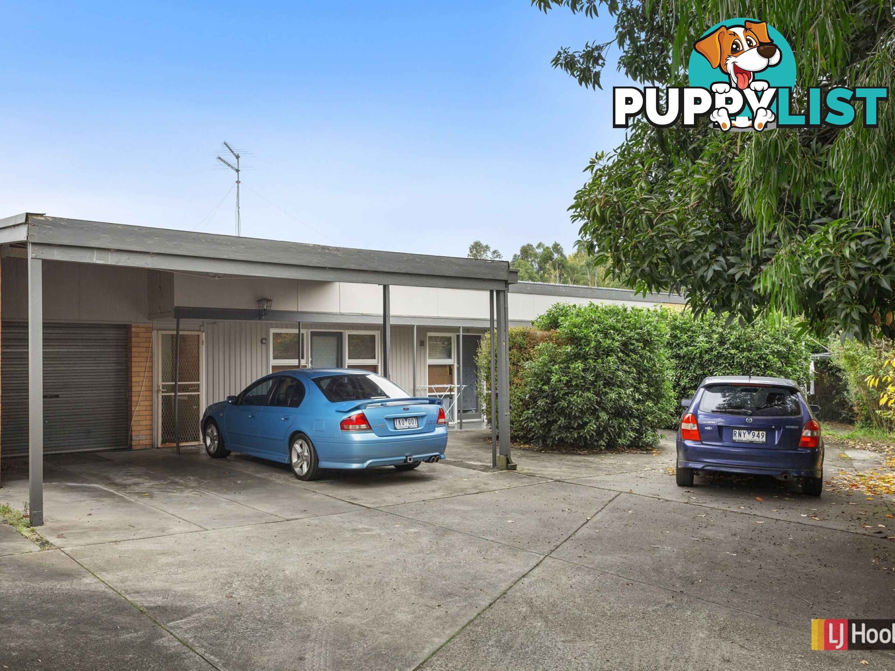 15 Quamby Avenue COLAC VIC 3250