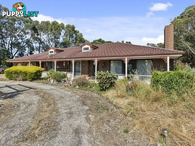 10 McConachy Street WINCHELSEA VIC 3241