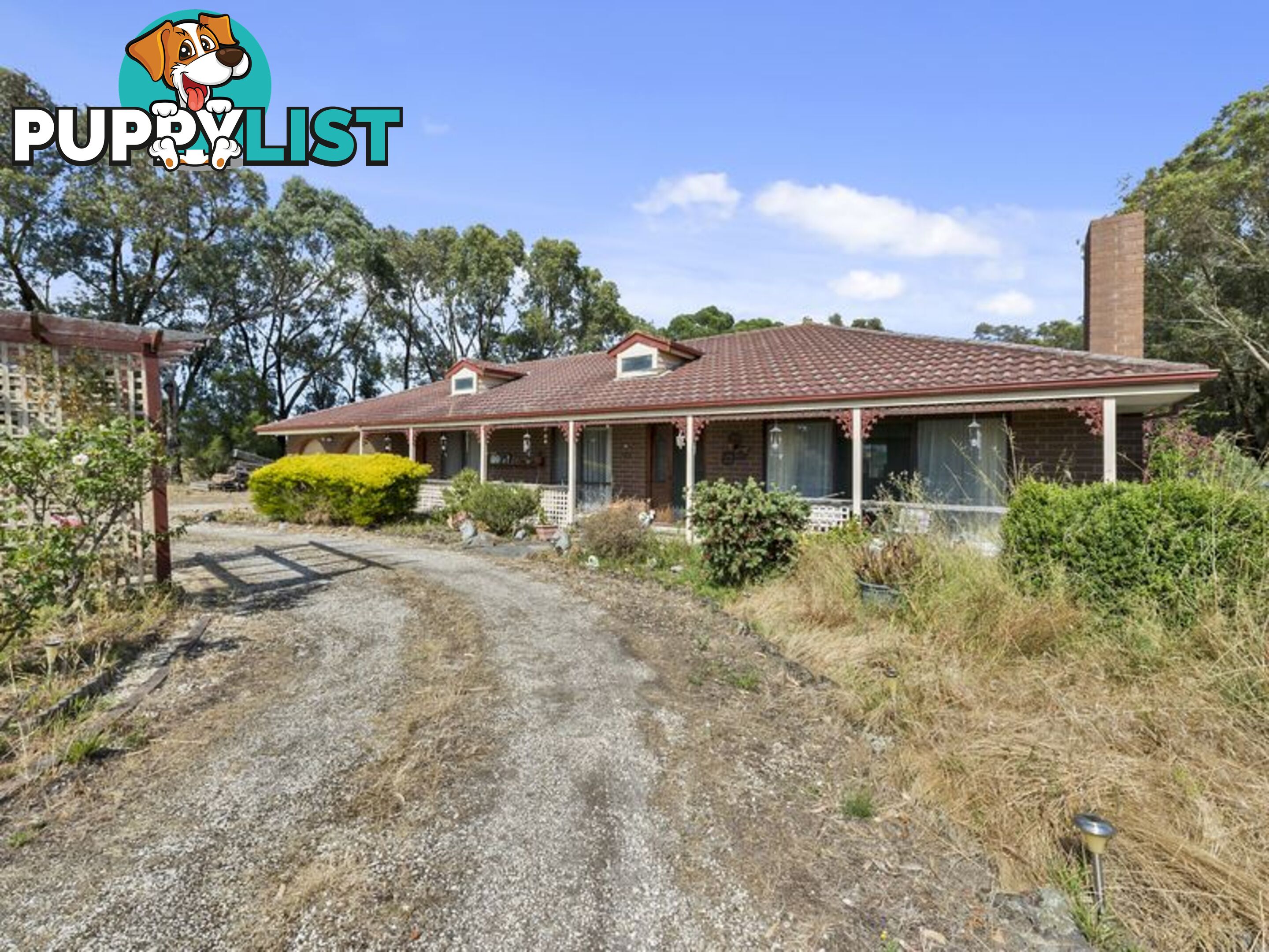 10 McConachy Street WINCHELSEA VIC 3241