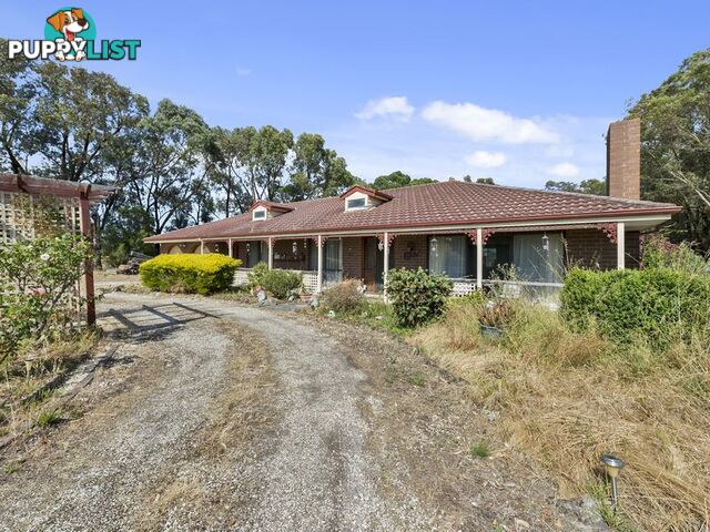 10 McConachy Street WINCHELSEA VIC 3241