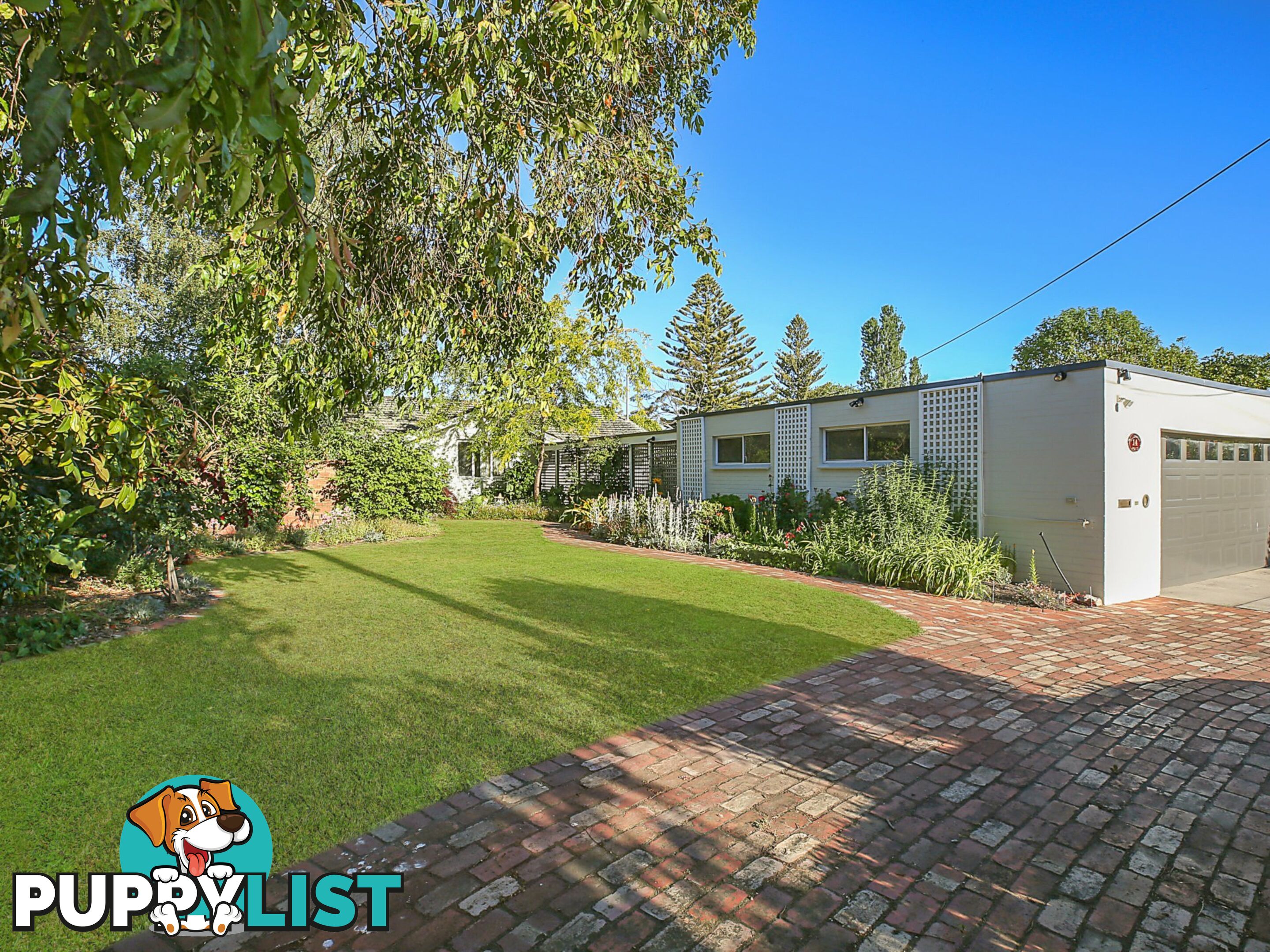 14 Balnagowan Avenue COLAC VIC 3250