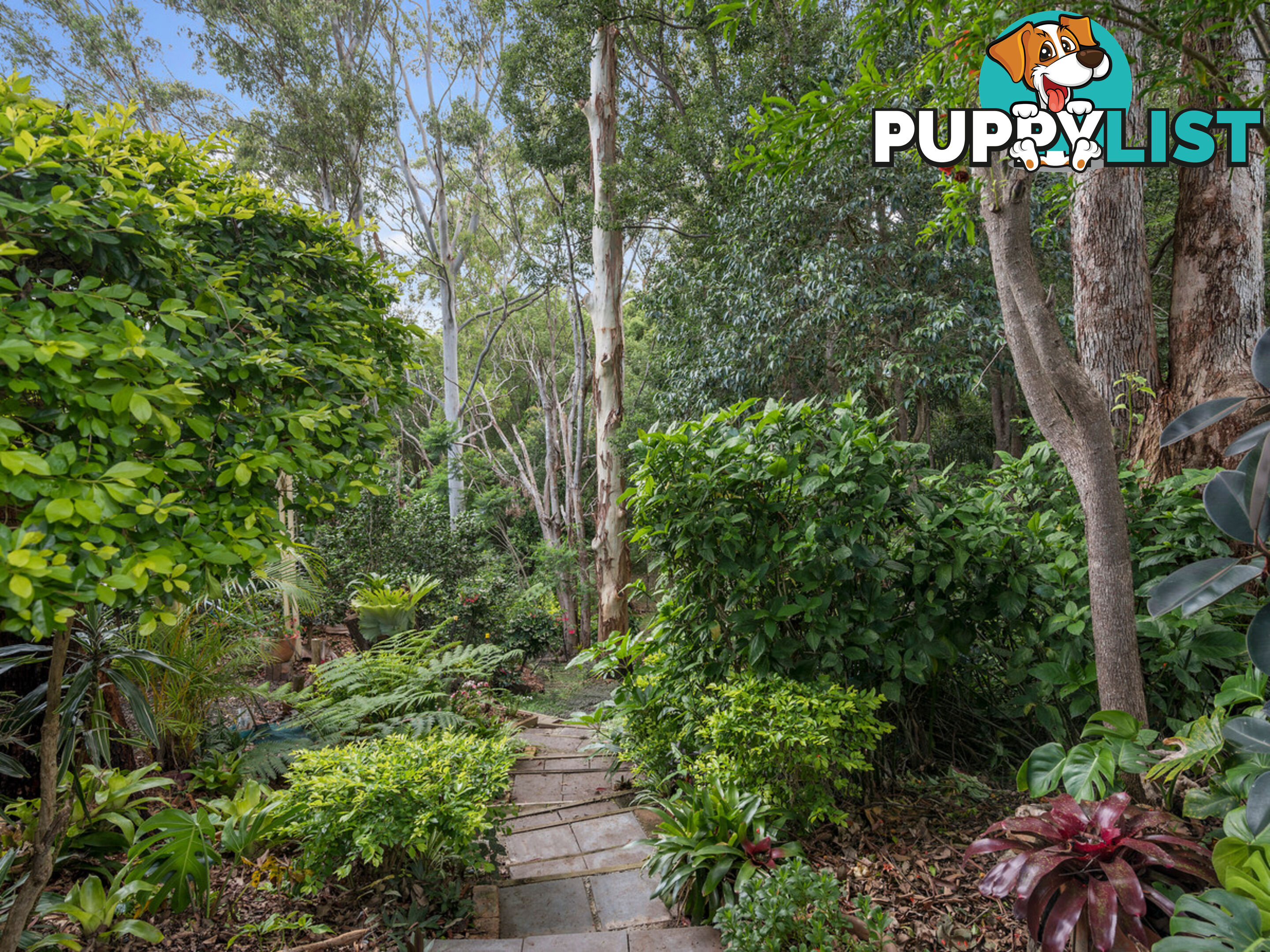 37 Marika Way CURRUMBIN WATERS QLD 4223