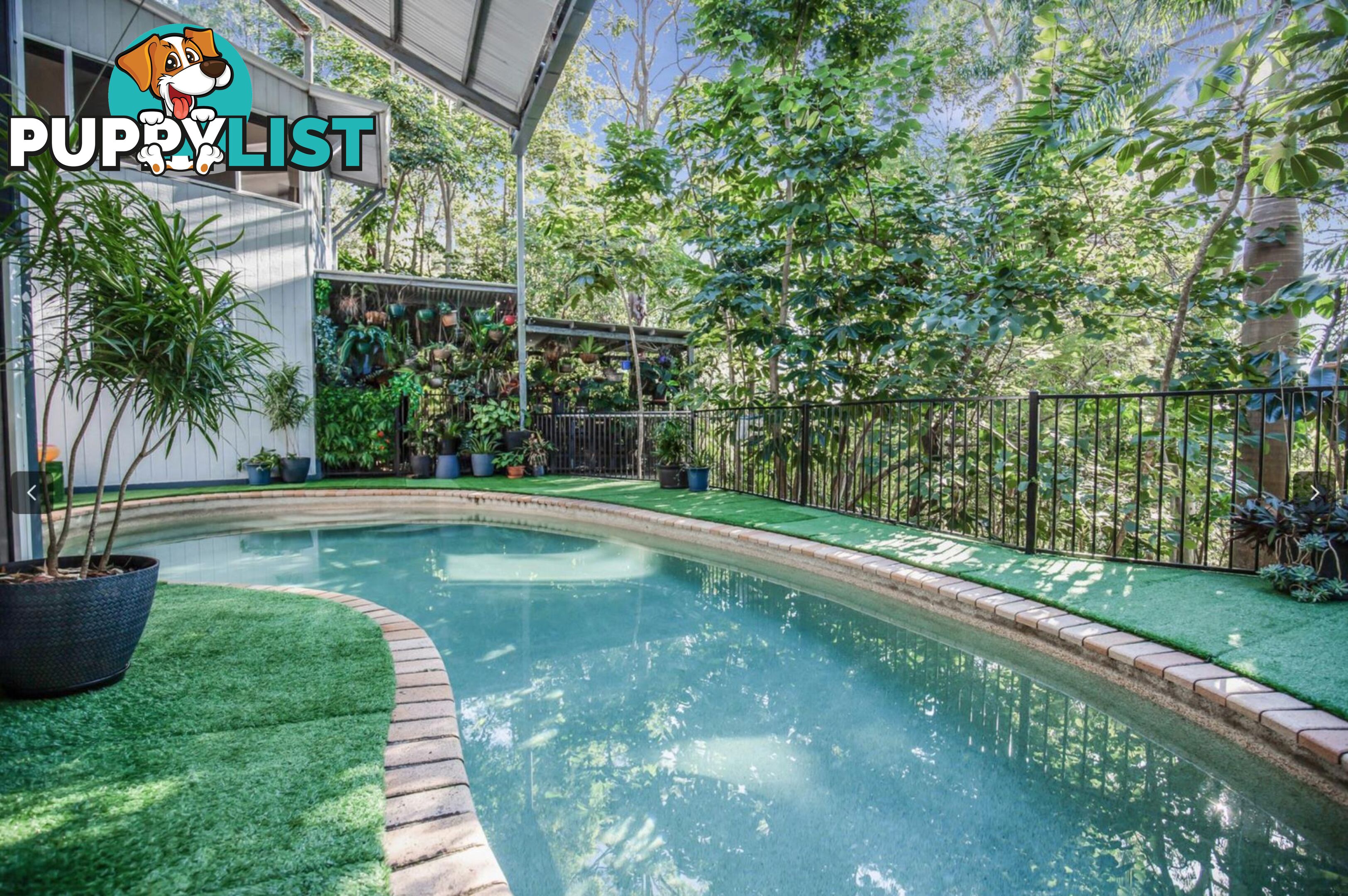 8 Killara Street CURRUMBIN WATERS QLD 4223