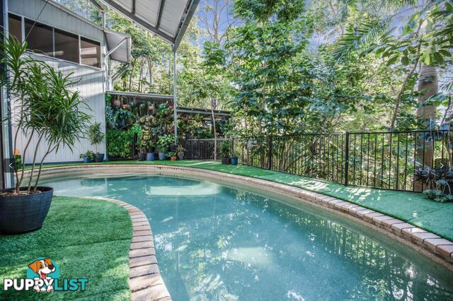 8 Killara Street CURRUMBIN WATERS QLD 4223