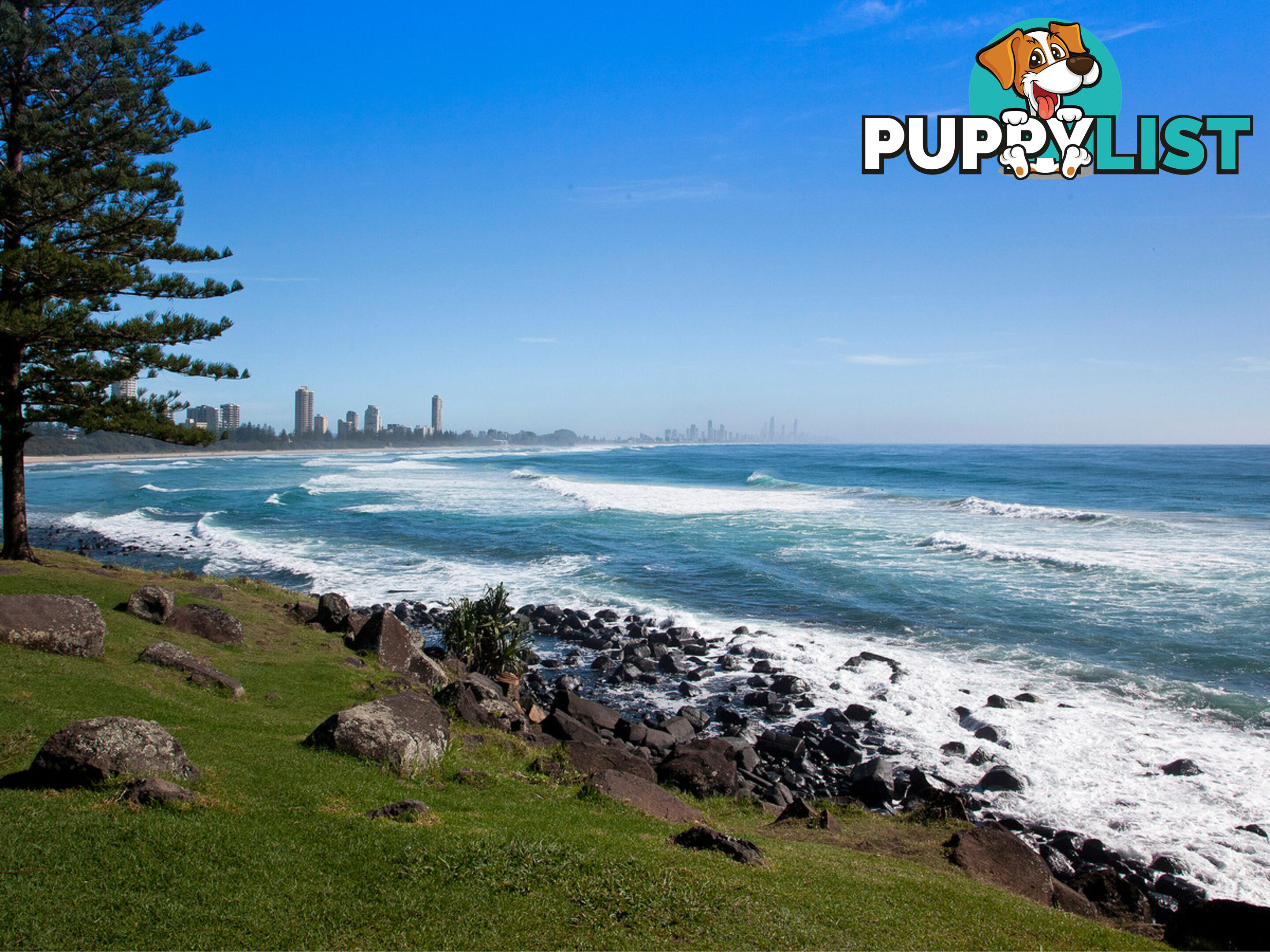 44 Elanora Drive BURLEIGH HEADS QLD 4220