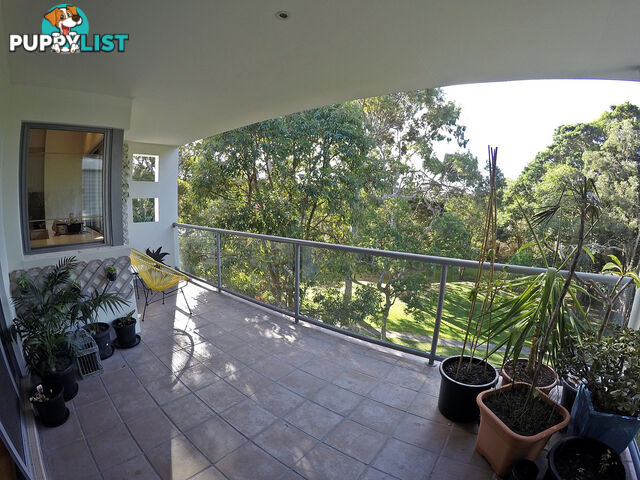 9/523 Gold Coast Highway CURRUMBIN QLD 4223