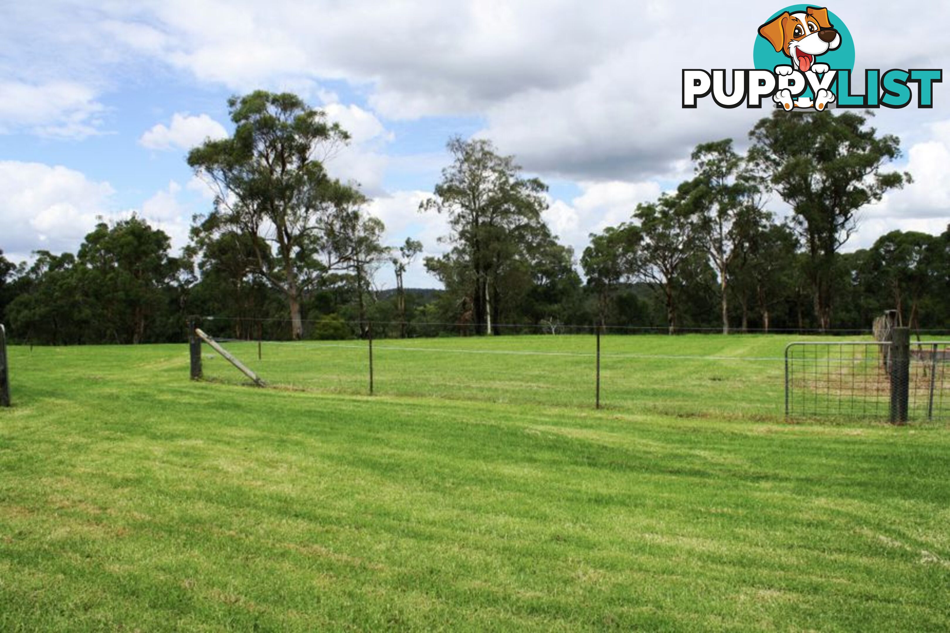 Lot 4, 315 Maguires Road MARAYLYA NSW 2765