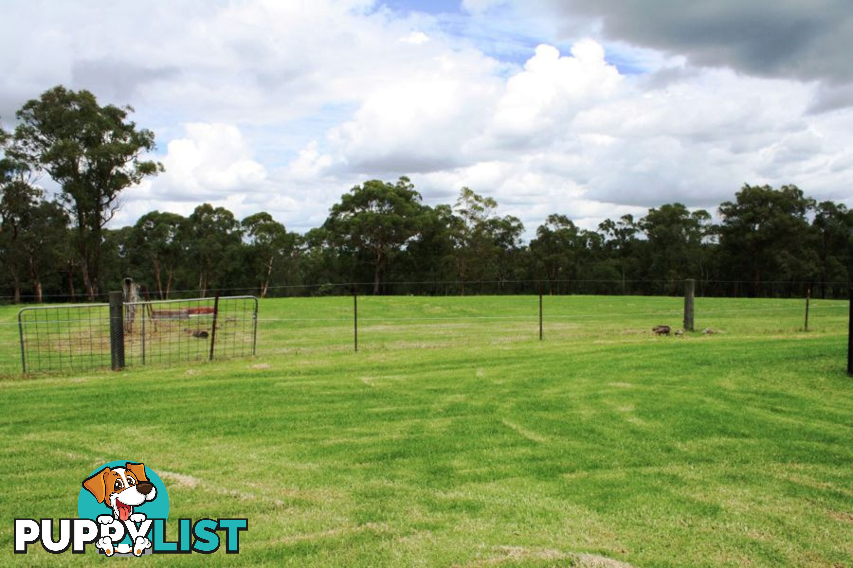 Lot 4, 315 Maguires Road MARAYLYA NSW 2765