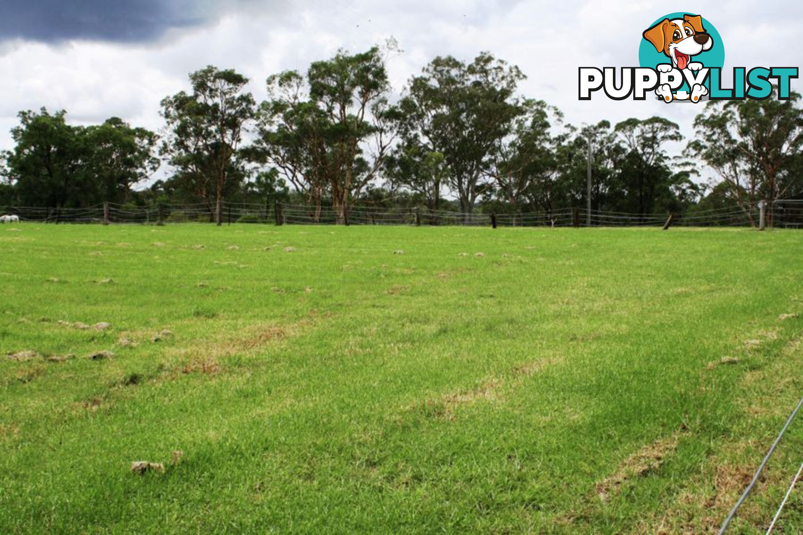 Lot 4, 315 Maguires Road MARAYLYA NSW 2765