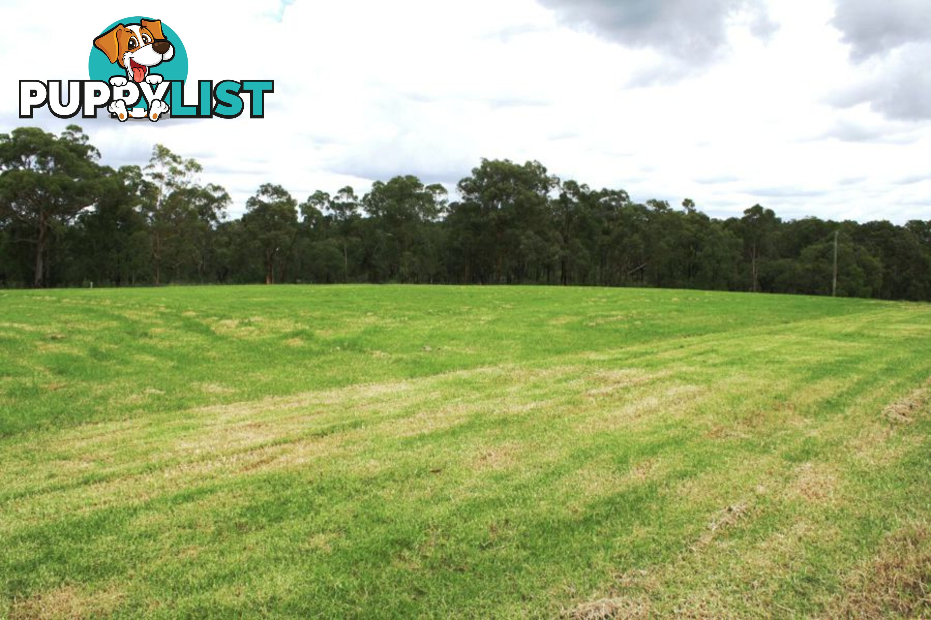 Lot 4, 315 Maguires Road MARAYLYA NSW 2765