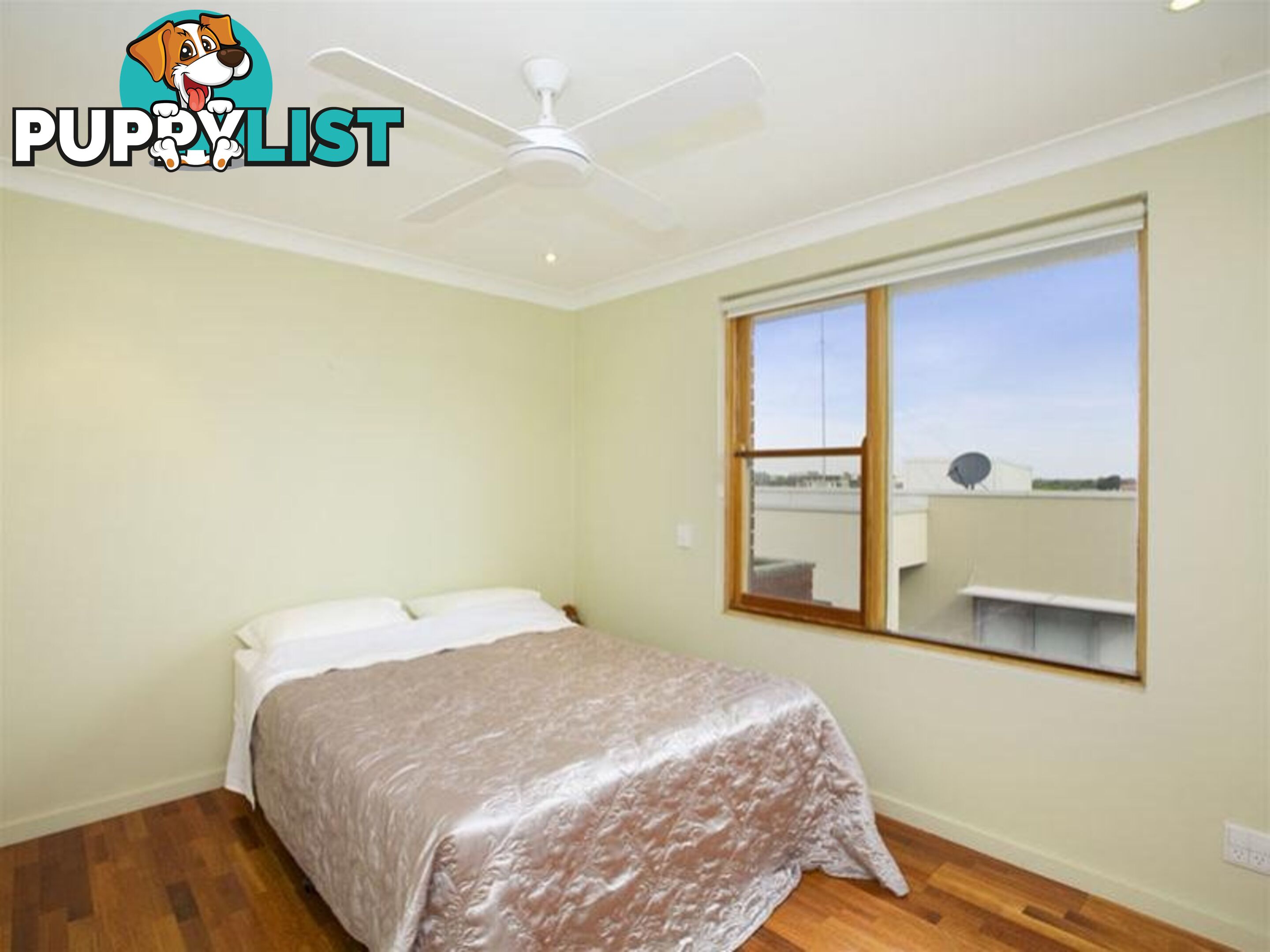 8/35 Kensington Road KENSINGTON NSW 2033