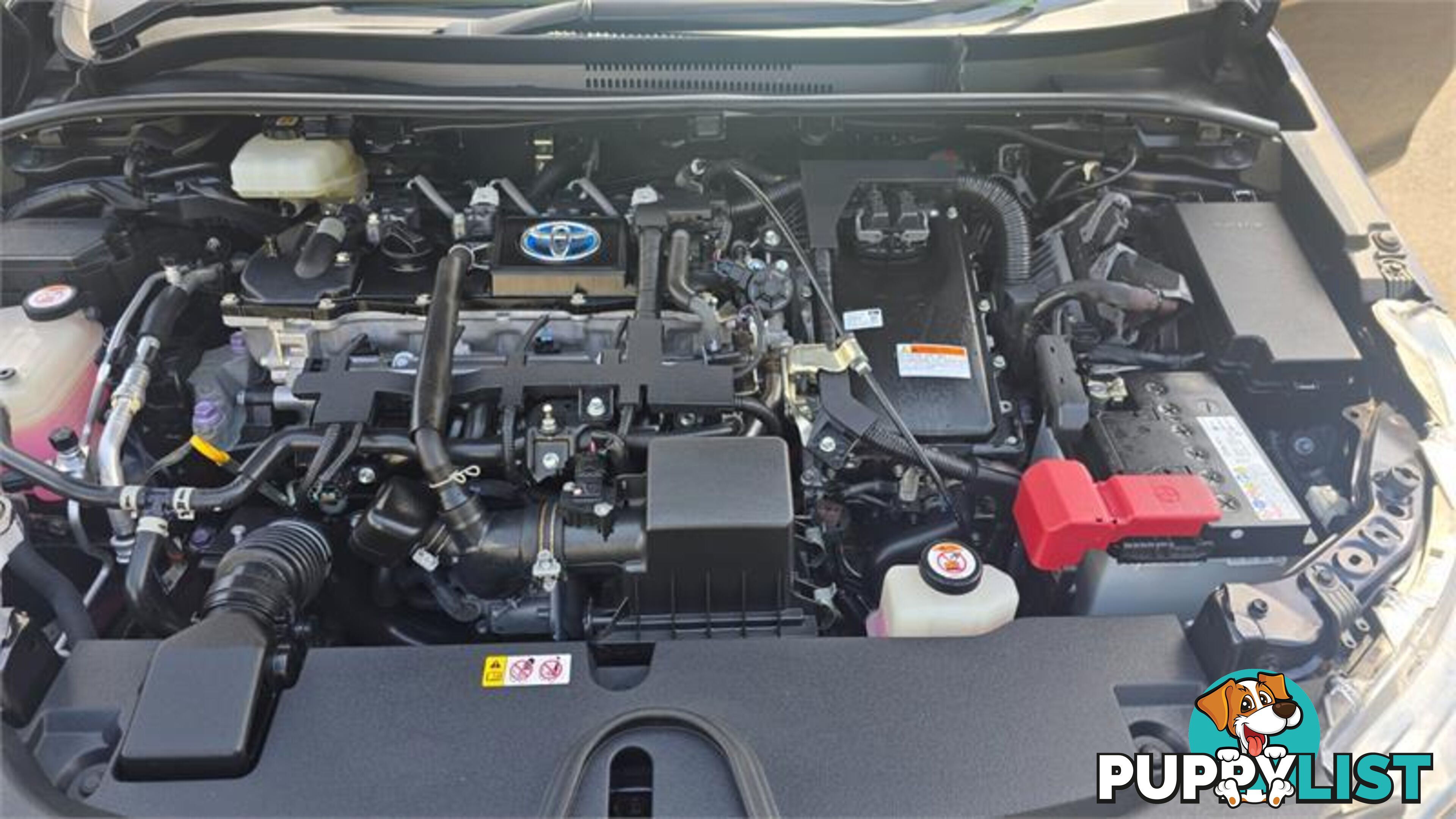 2020 Toyota Corolla Touring WXB