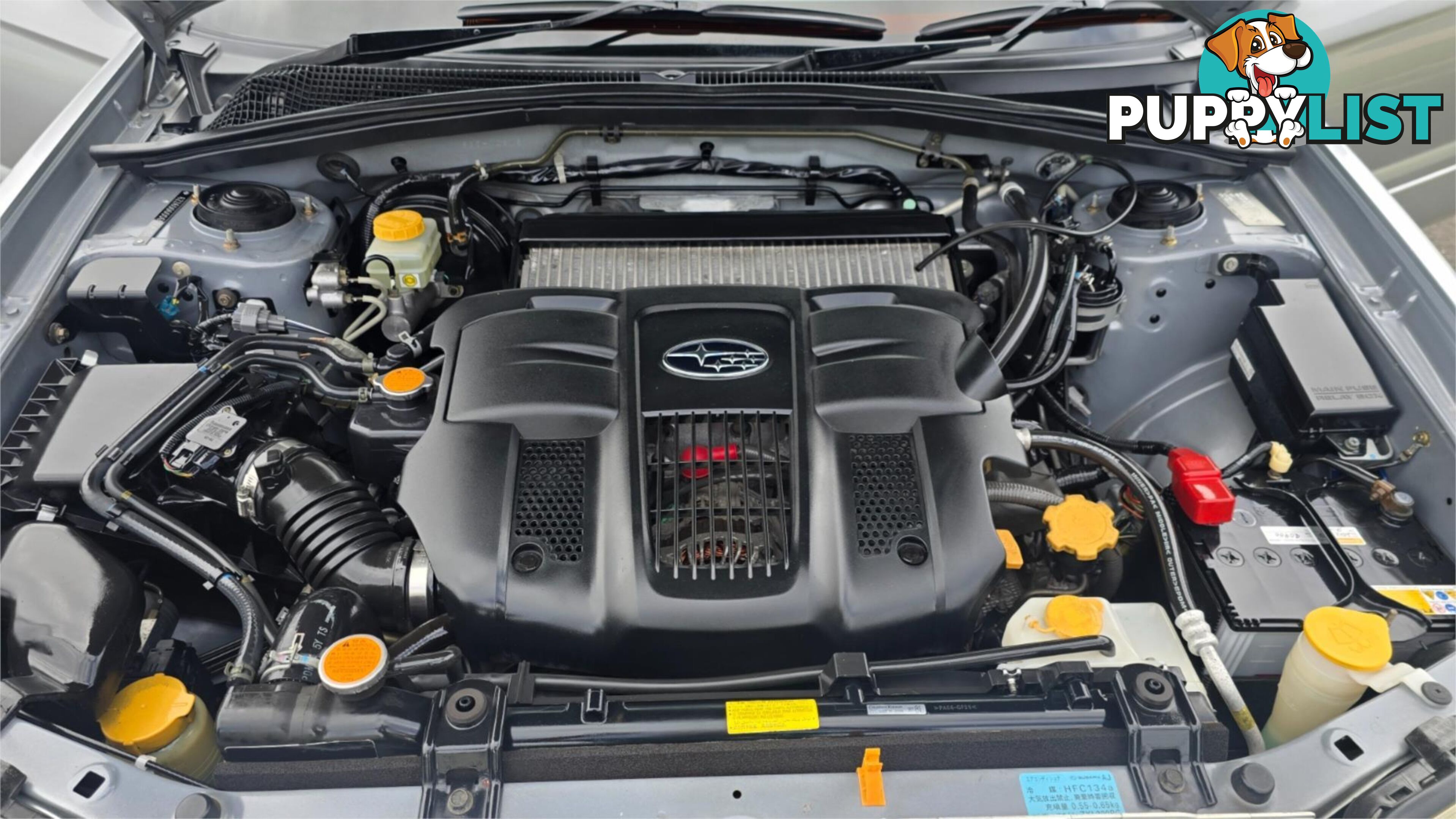 2006 Subaru Forester Cross Sport