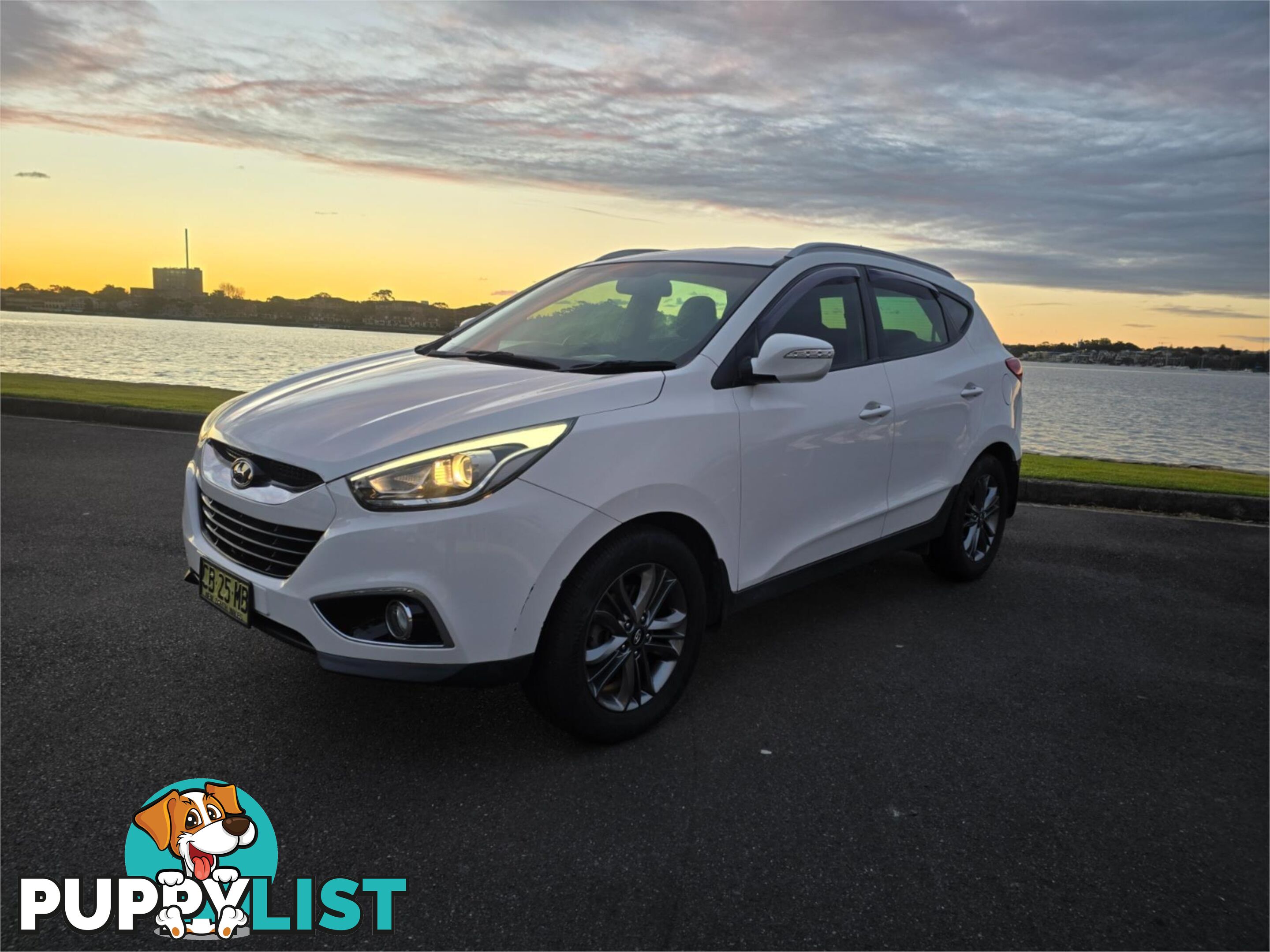 2014 Hyundai ix35 SE