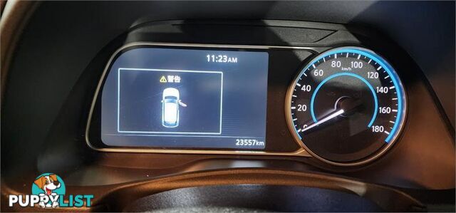 2020 Nissan LEAF e+