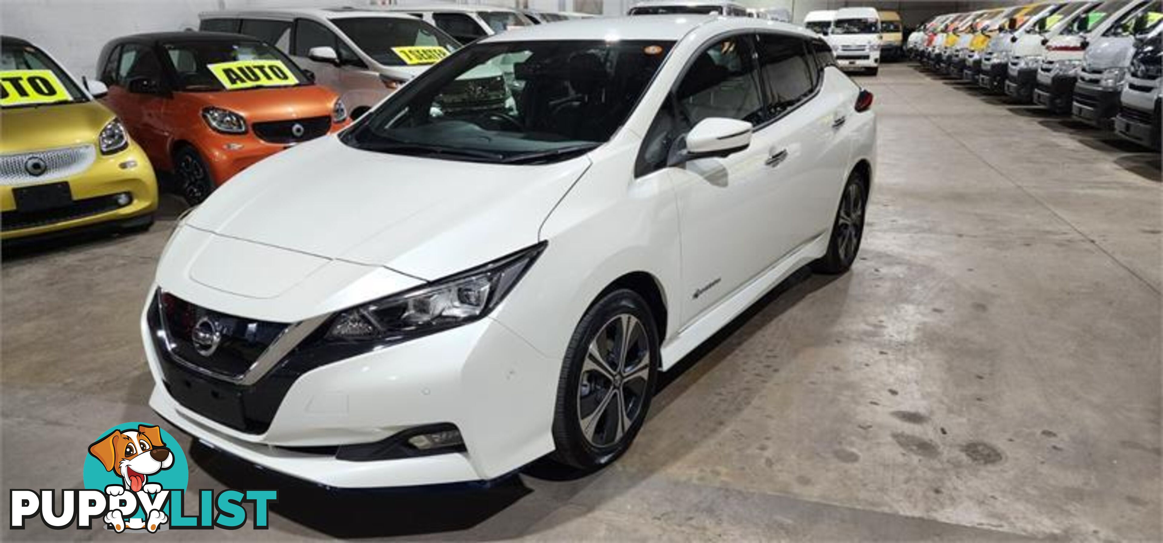 2020 Nissan LEAF e+