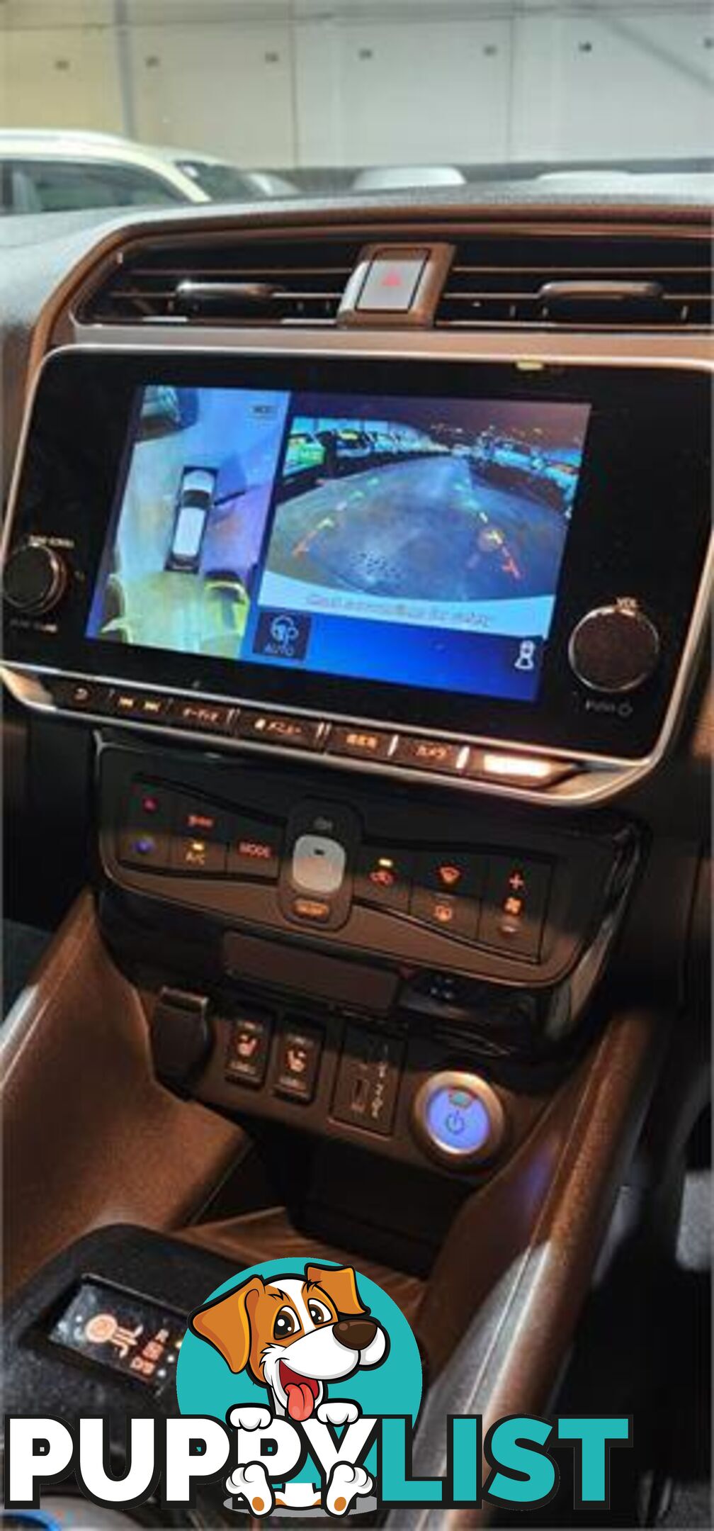 2020 Nissan LEAF e+
