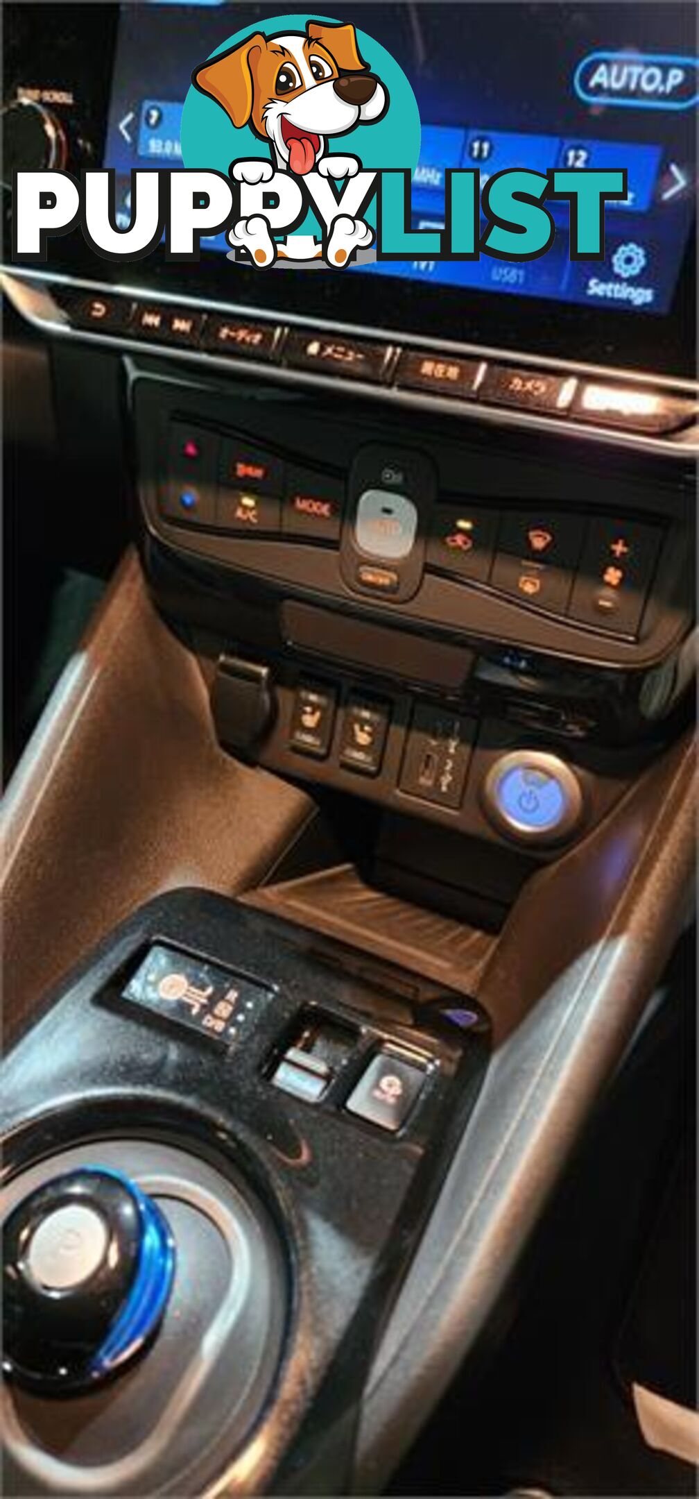 2020 Nissan LEAF e+
