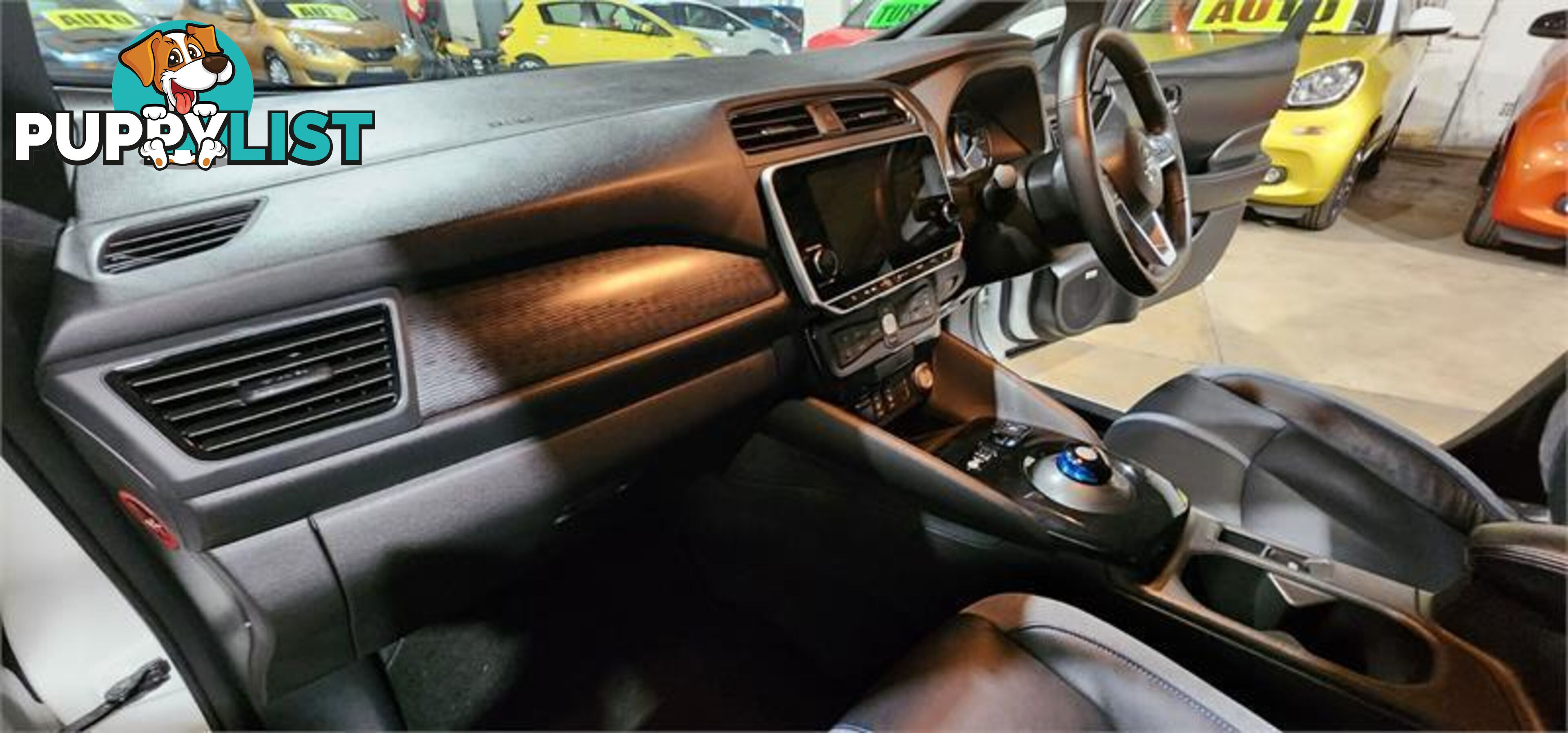 2020 Nissan LEAF e+