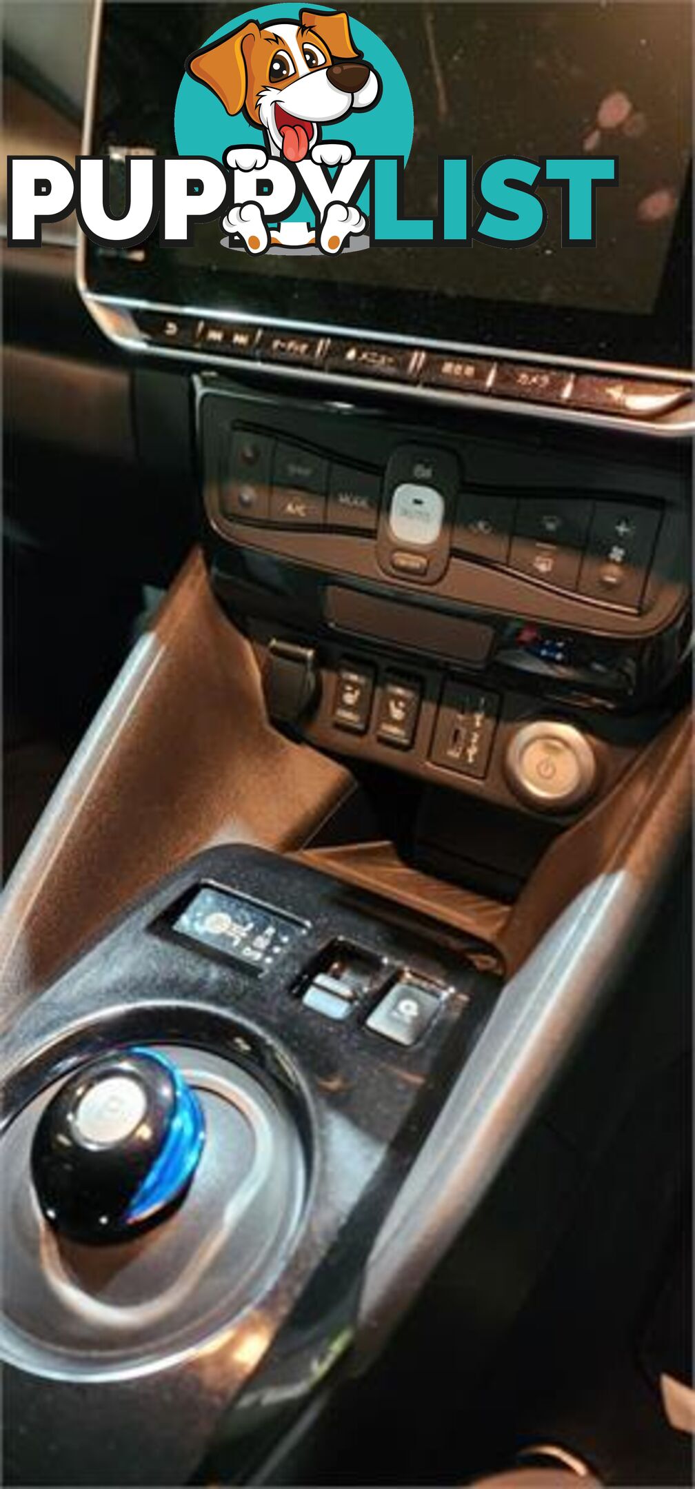 2020 Nissan LEAF e+