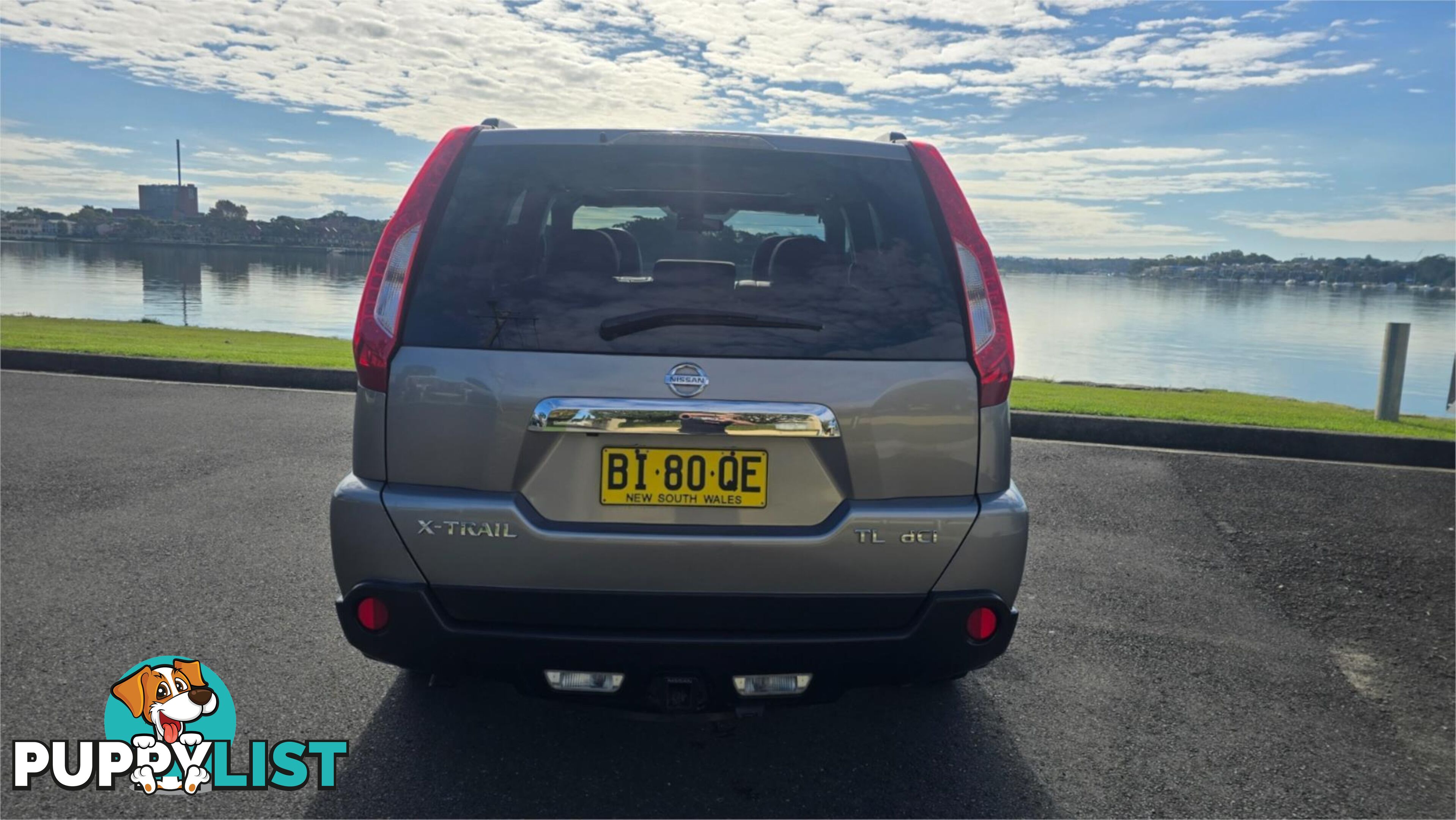2010 Nissan X-TRAIL TL