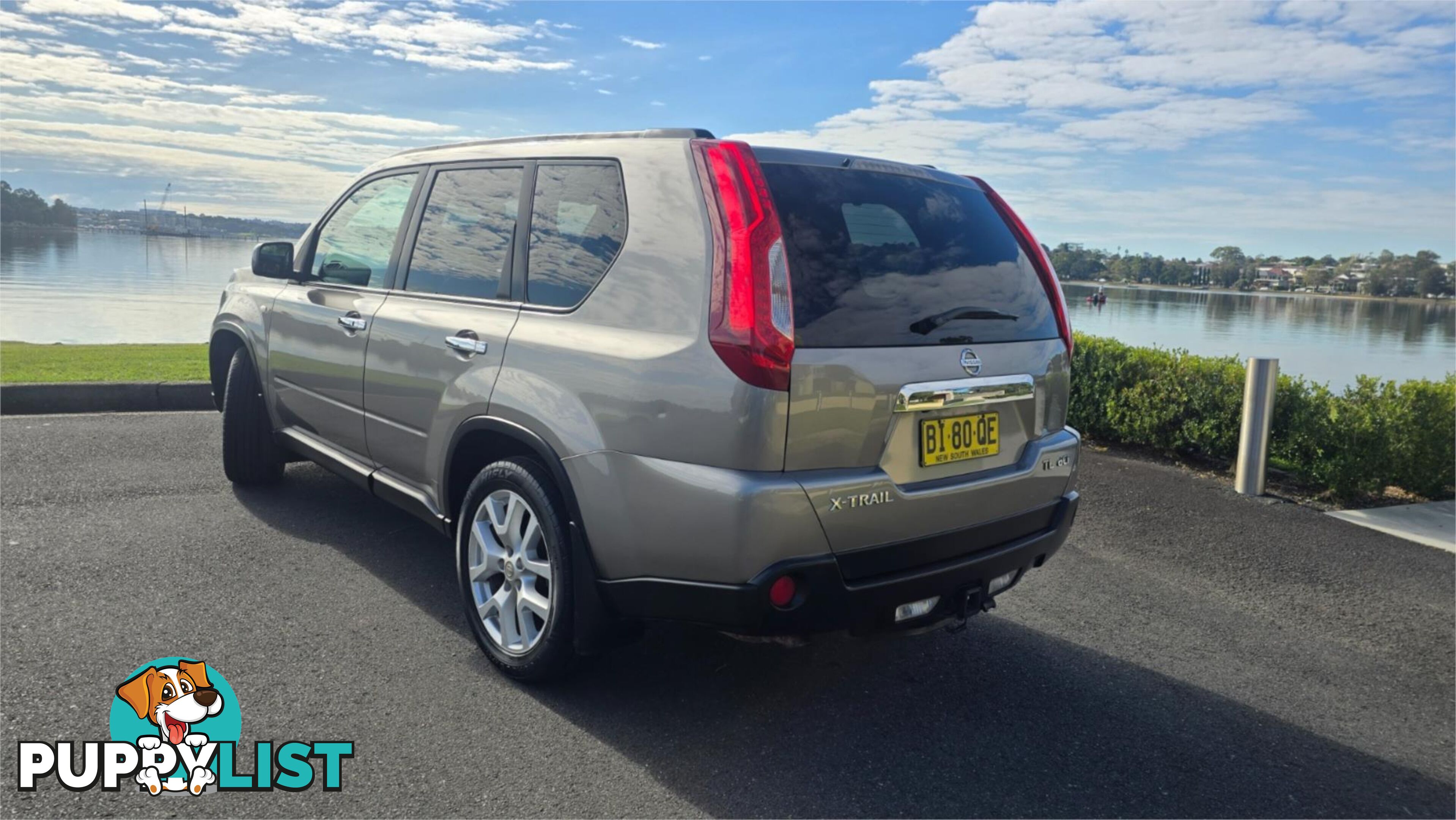 2010 Nissan X-TRAIL TL