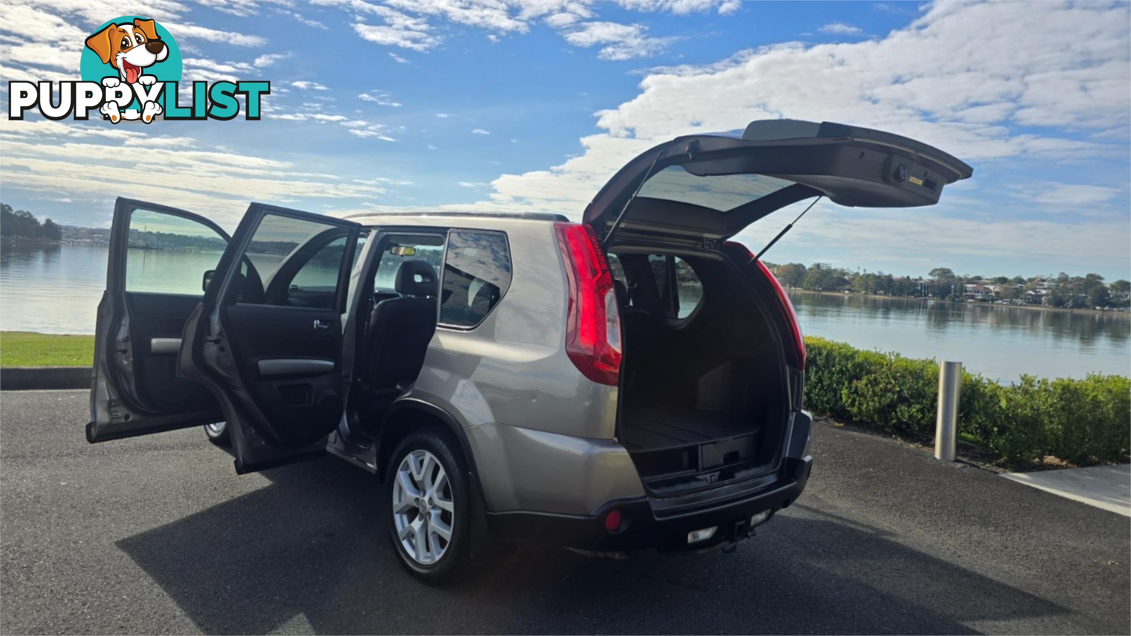 2010 Nissan X-TRAIL TL