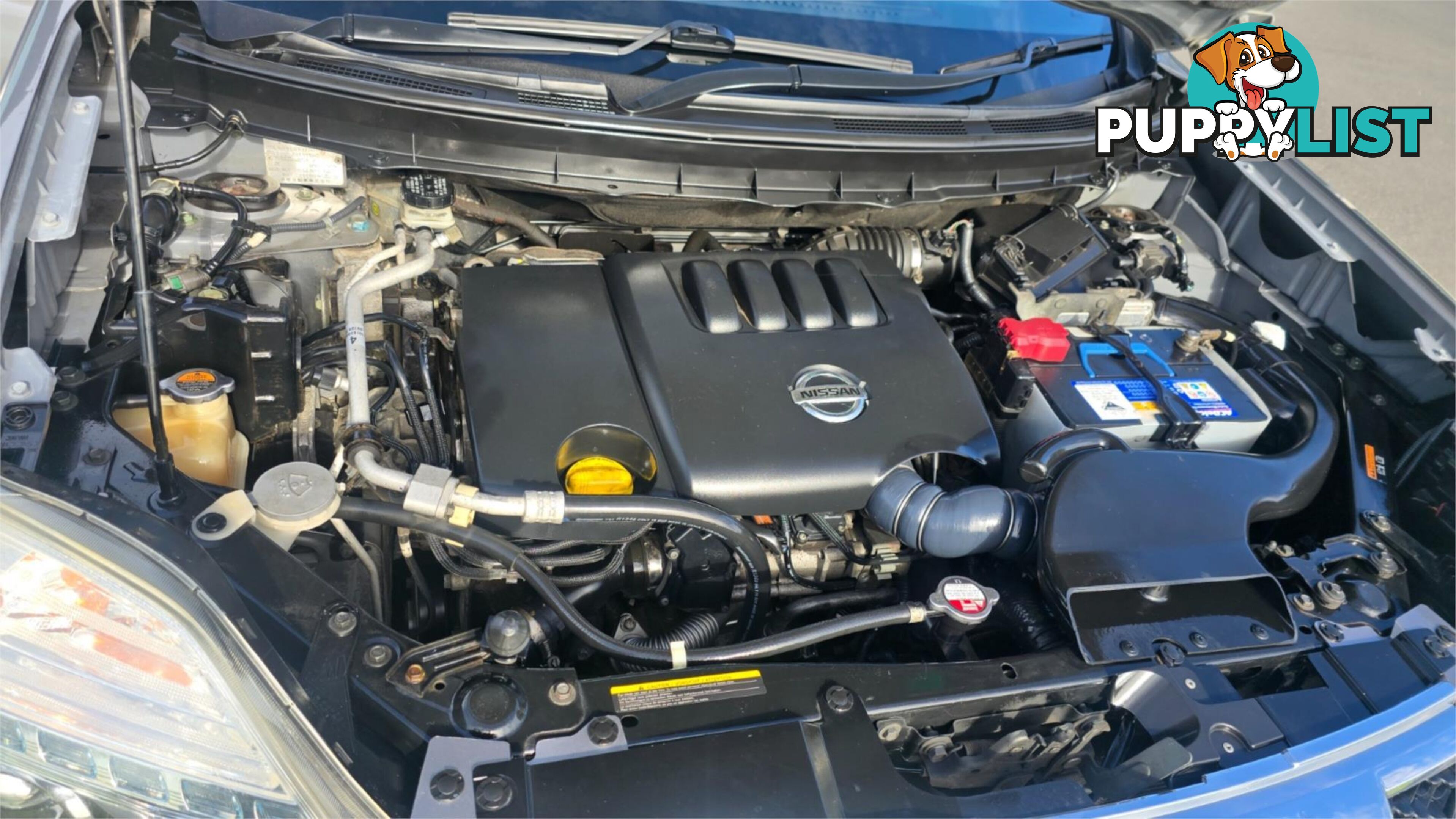2010 Nissan X-TRAIL TL