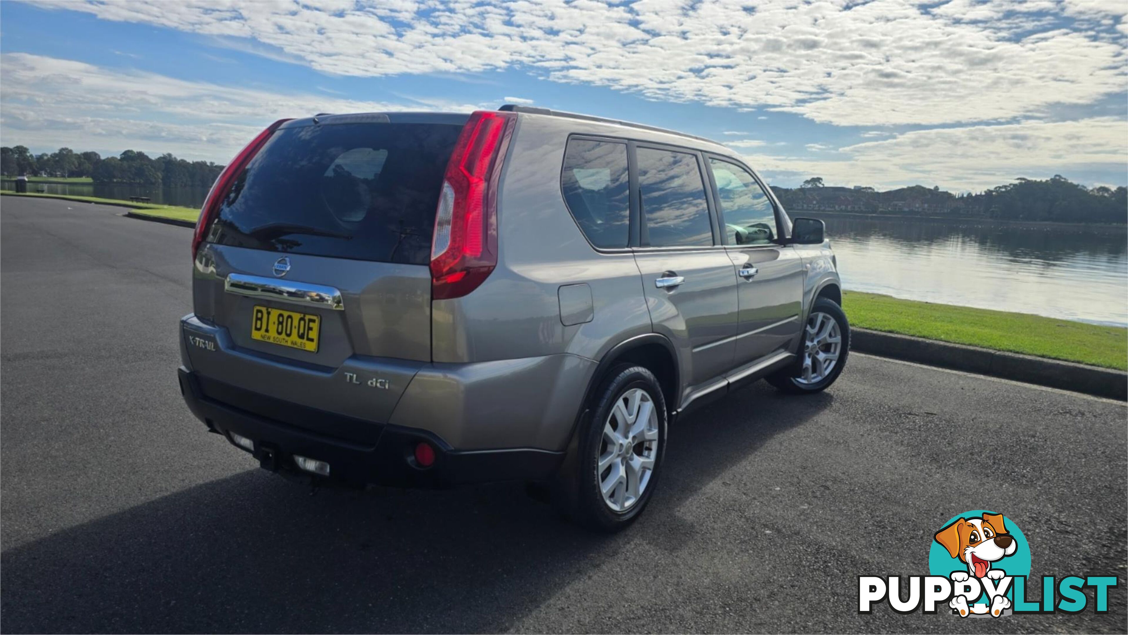 2010 Nissan X-TRAIL TL