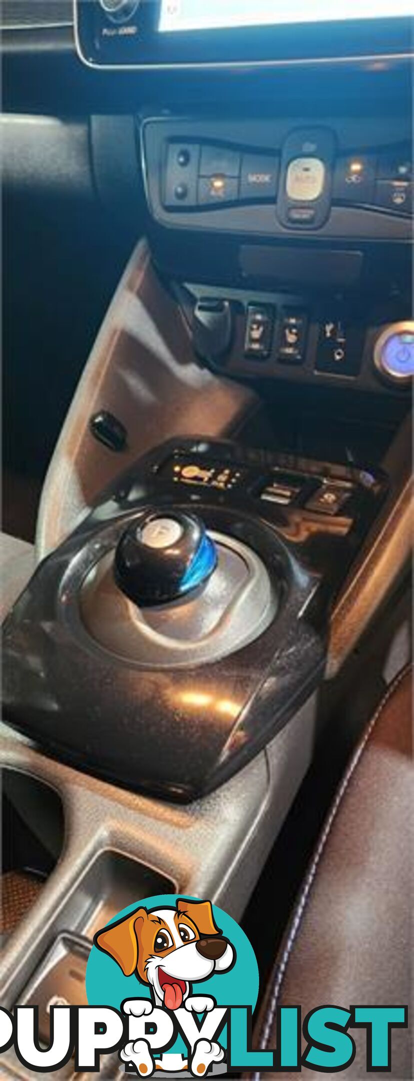 2017 Nissan LEAF