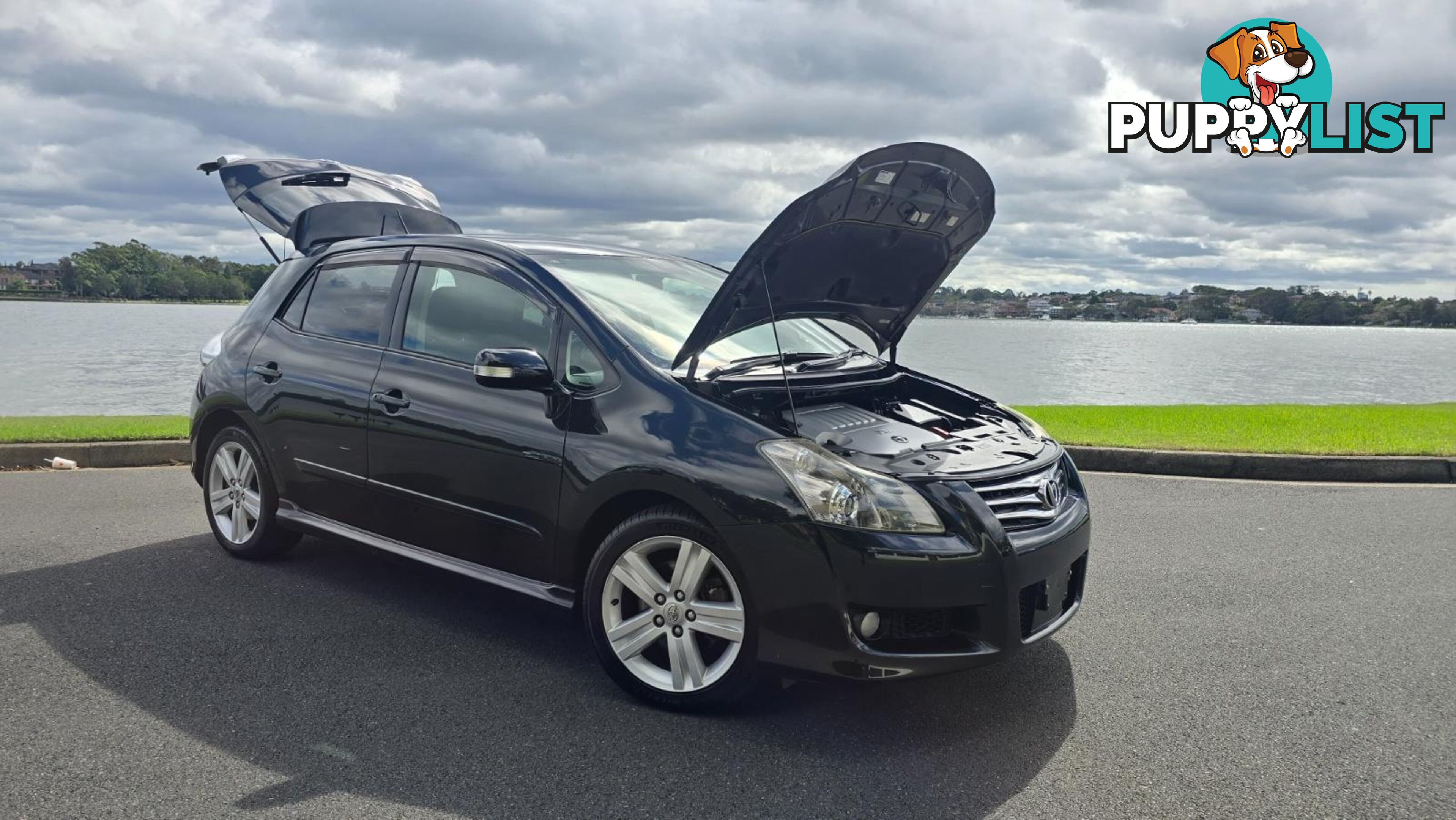 2007 Toyota Blade