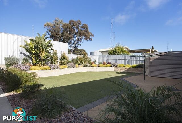 5 Highview Grove MOONTA BAY SA 5558