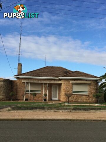 6 Lyon Street KADINA SA 5554