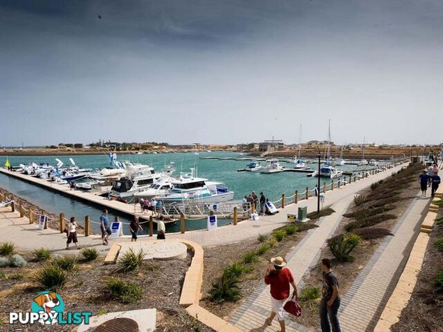 Copper Cove Marina WALLAROO SA 5556