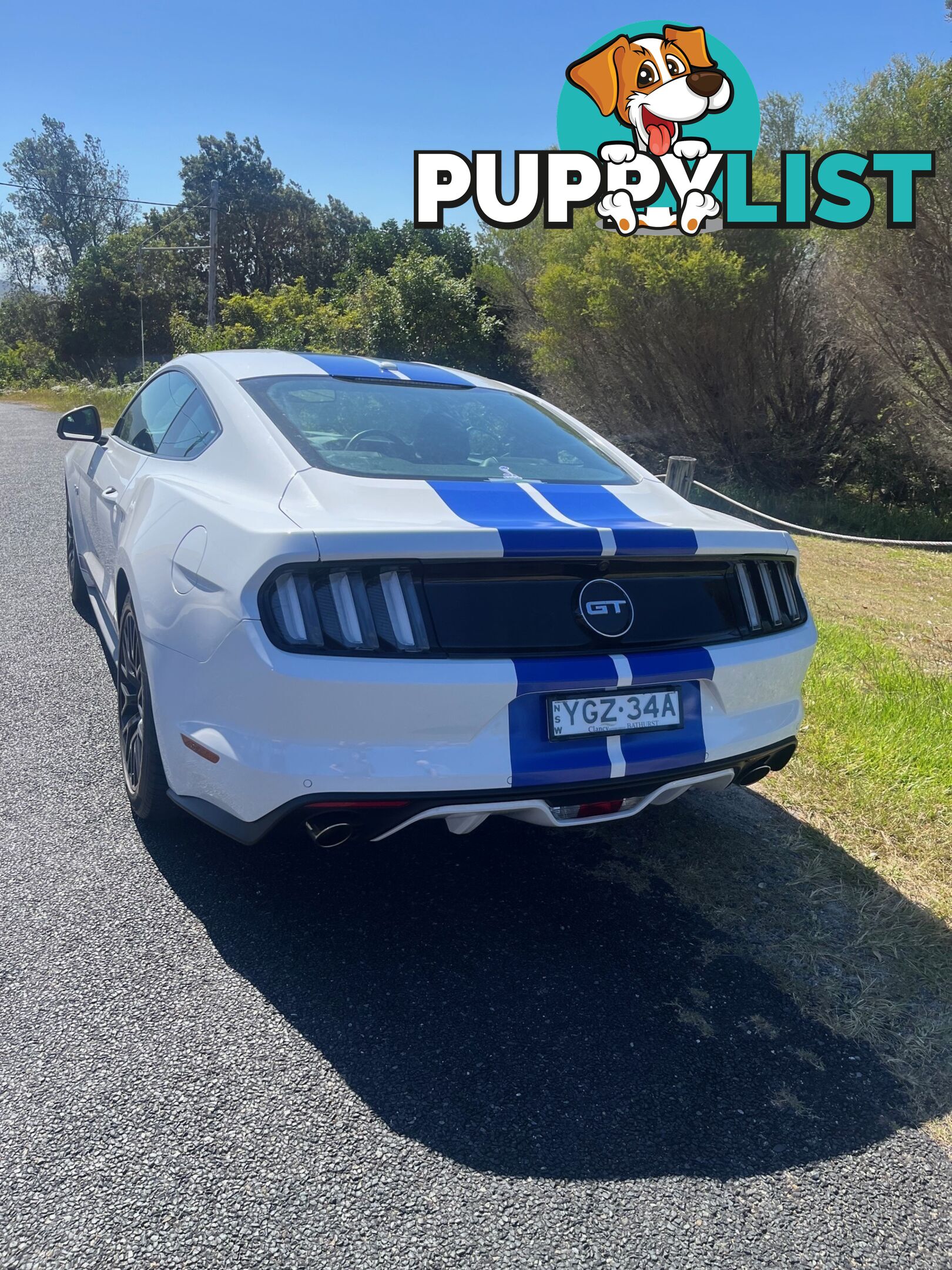 2017 Ford Mustang FM MY17 GT Coupe Automatic