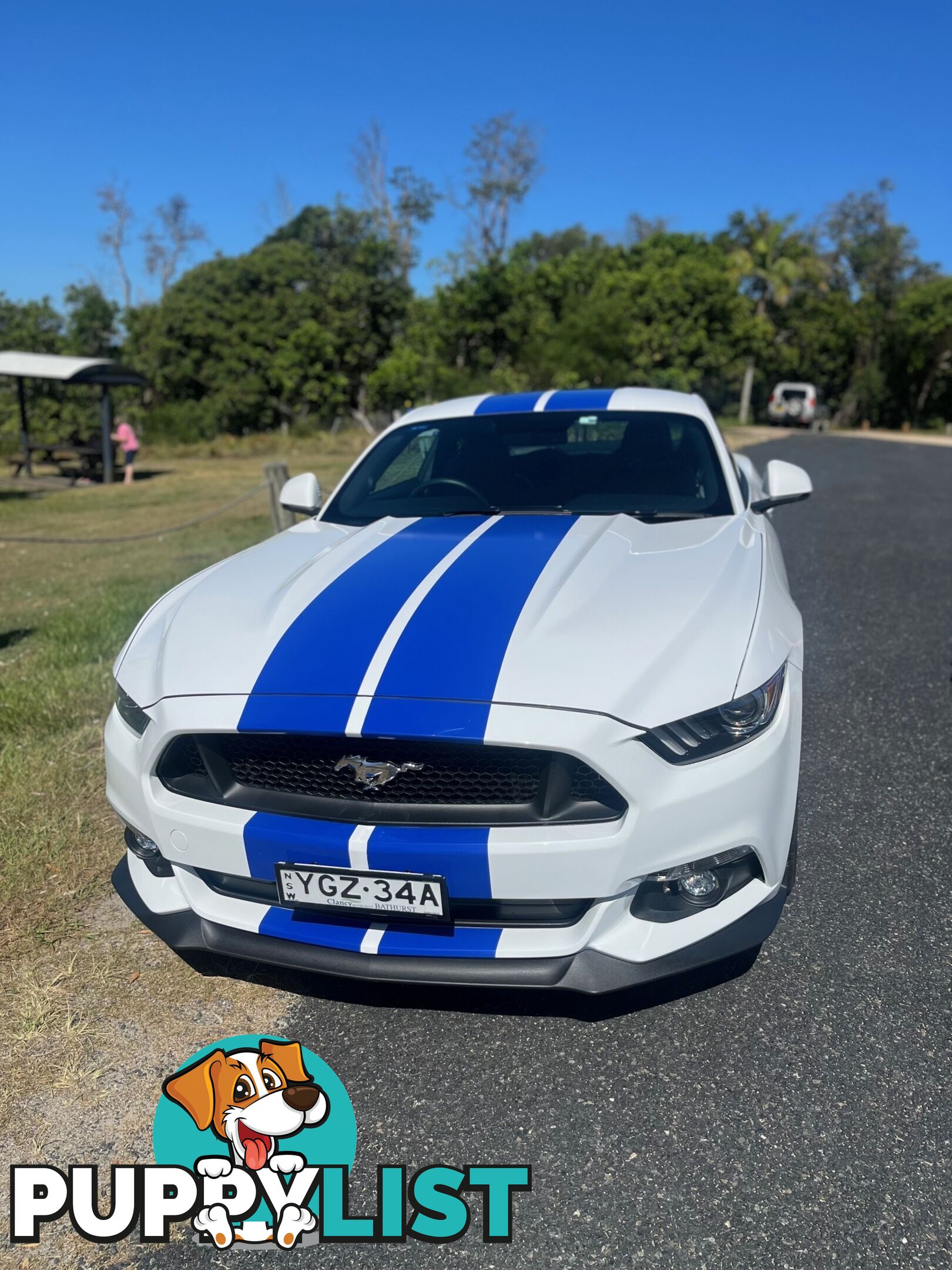 2017 Ford Mustang FM MY17 GT Coupe Automatic