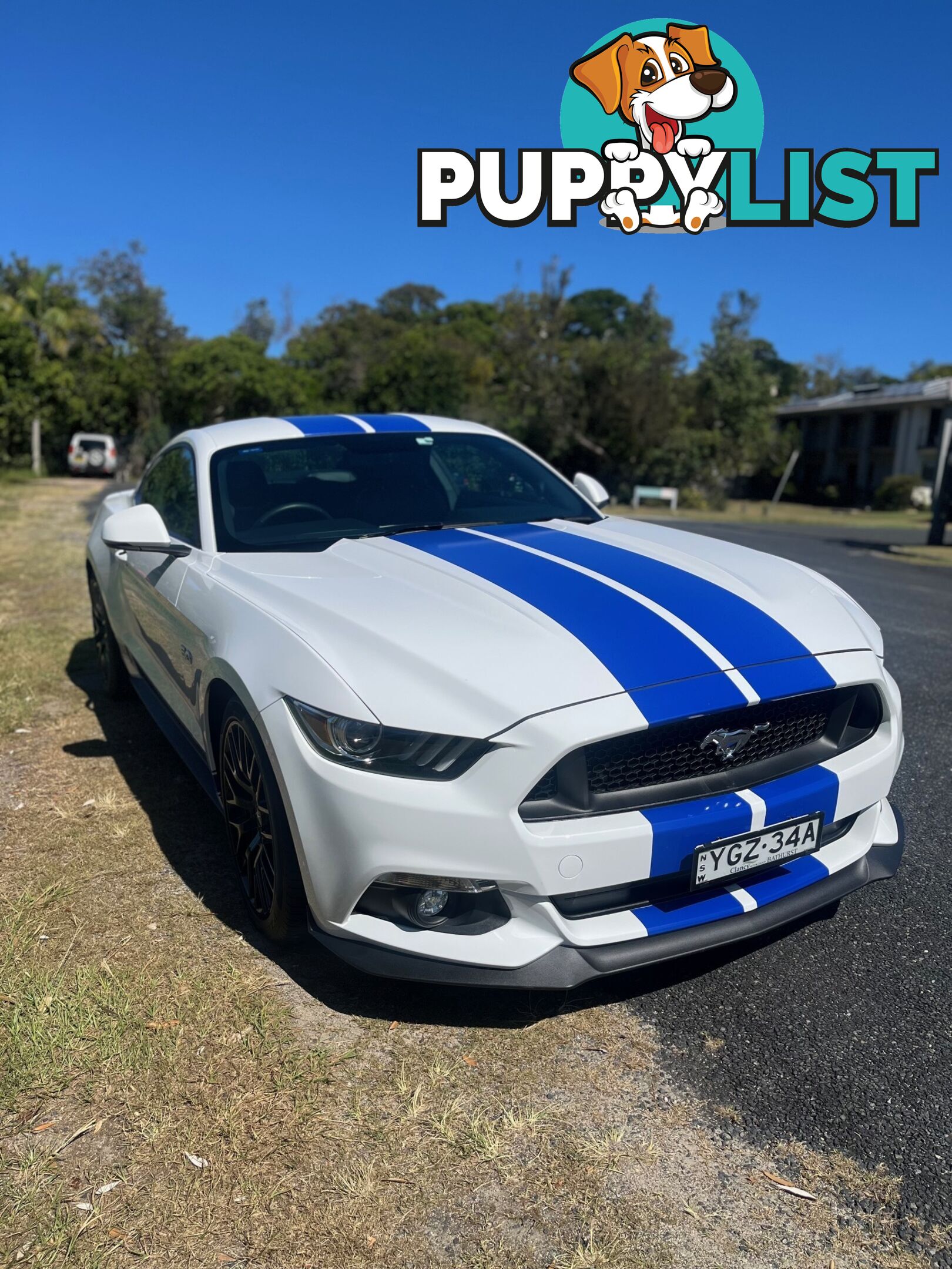 2017 Ford Mustang FM MY17 GT Coupe Automatic