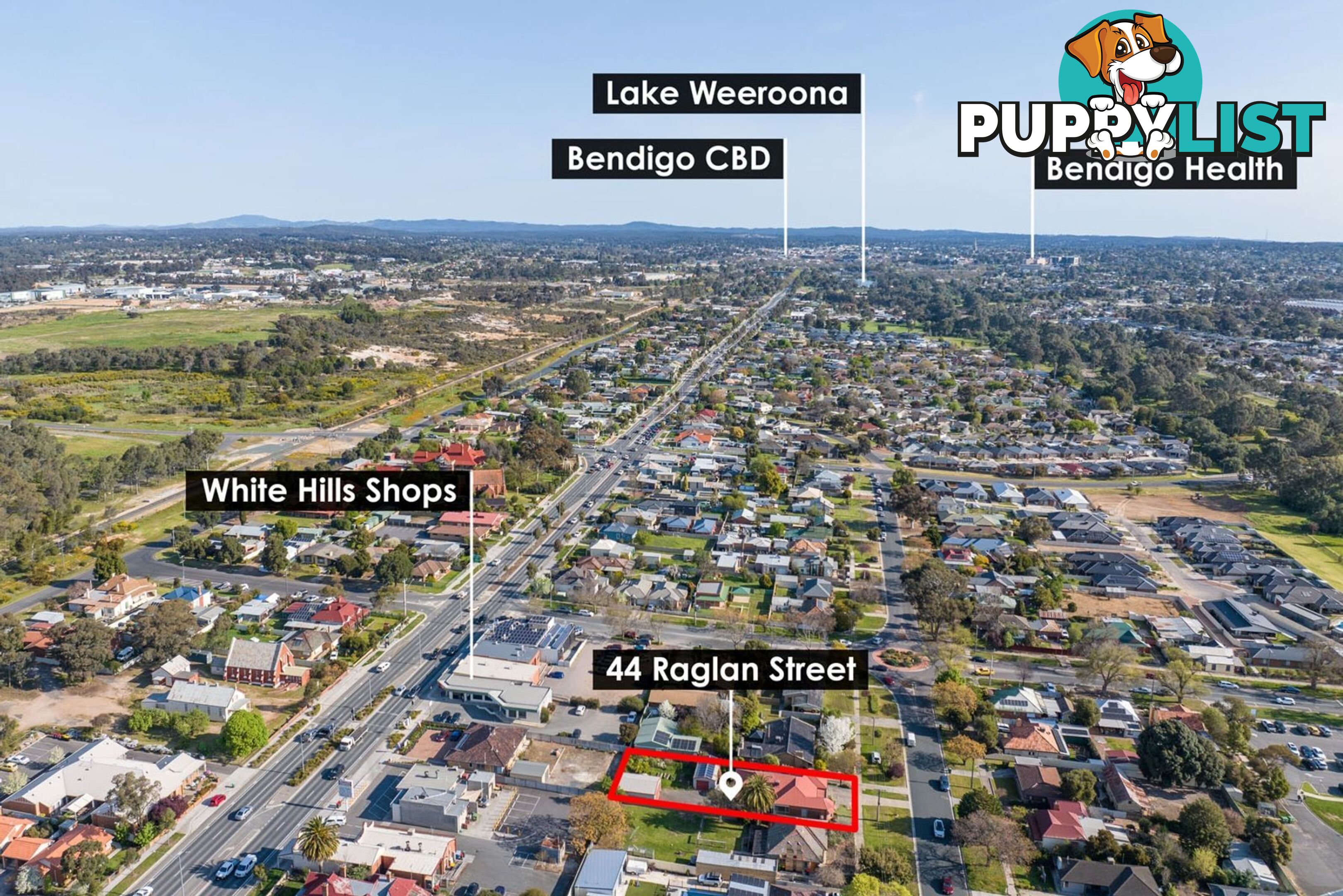 44 Raglan Street White Hills VIC 3550