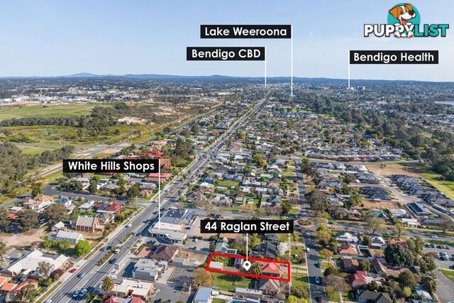 44 Raglan Street White Hills VIC 3550