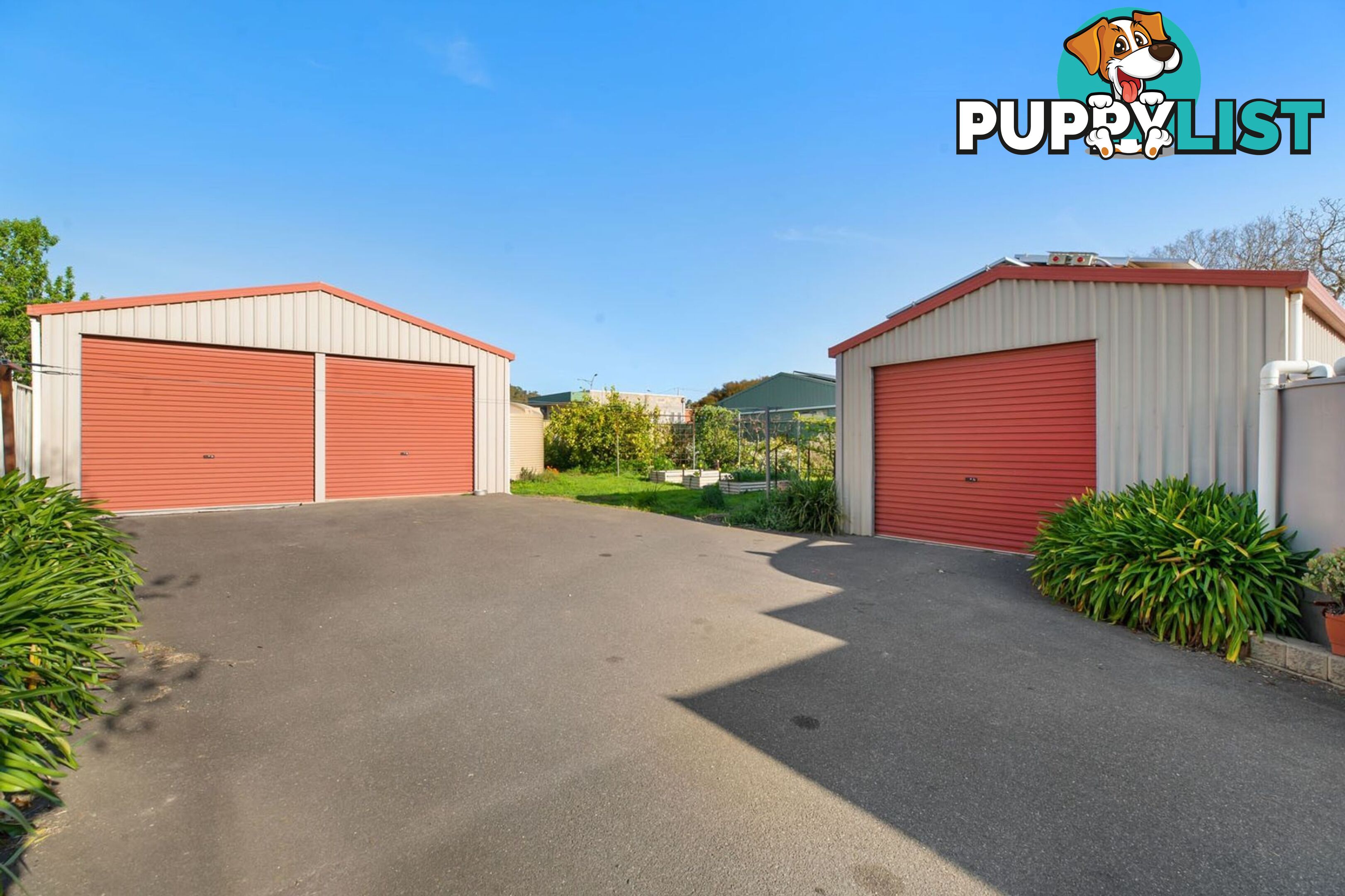 44 Raglan Street White Hills VIC 3550