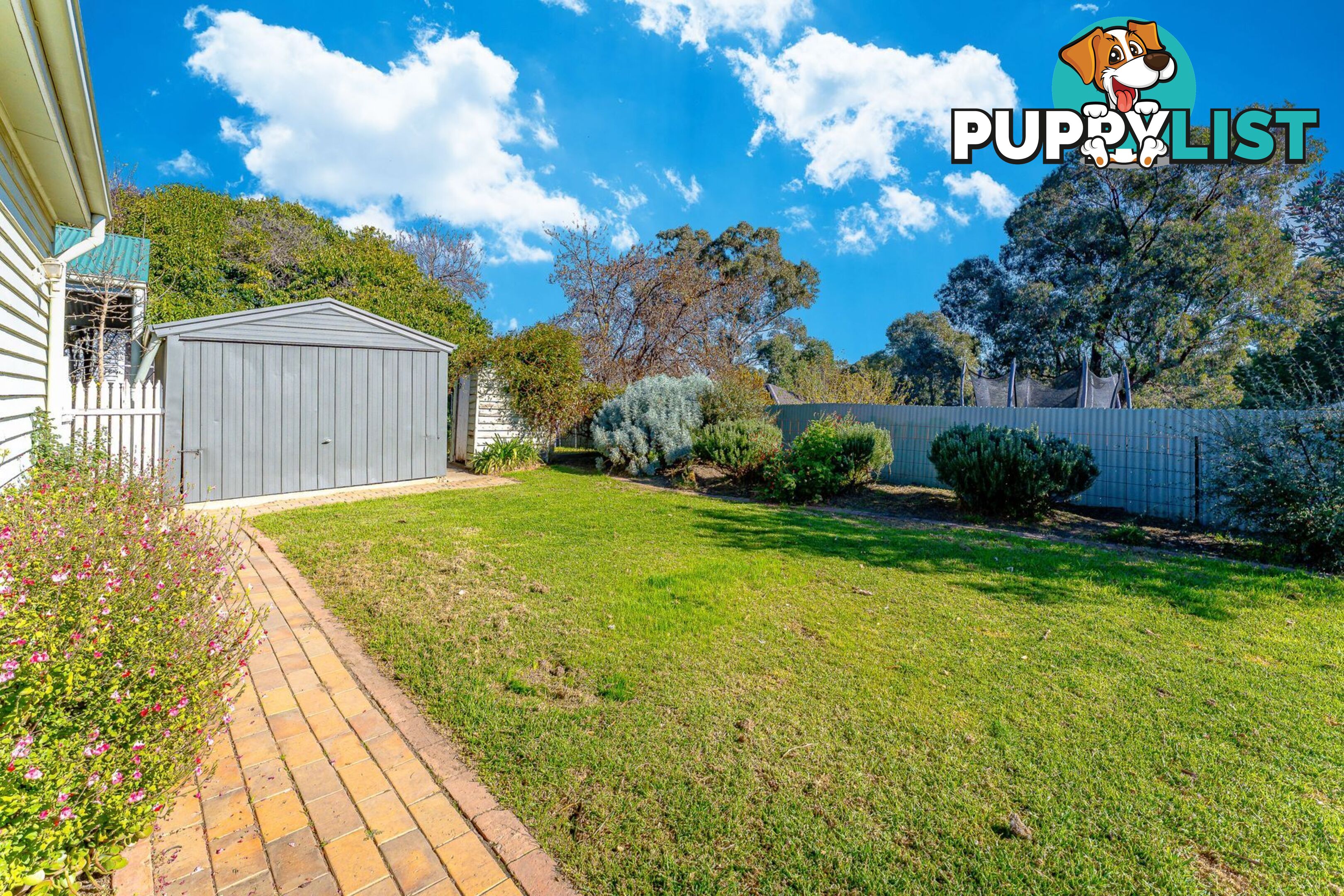 415 Napier Street WHITE HILLS VIC 3550