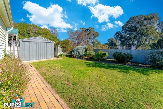 415 Napier Street WHITE HILLS VIC 3550